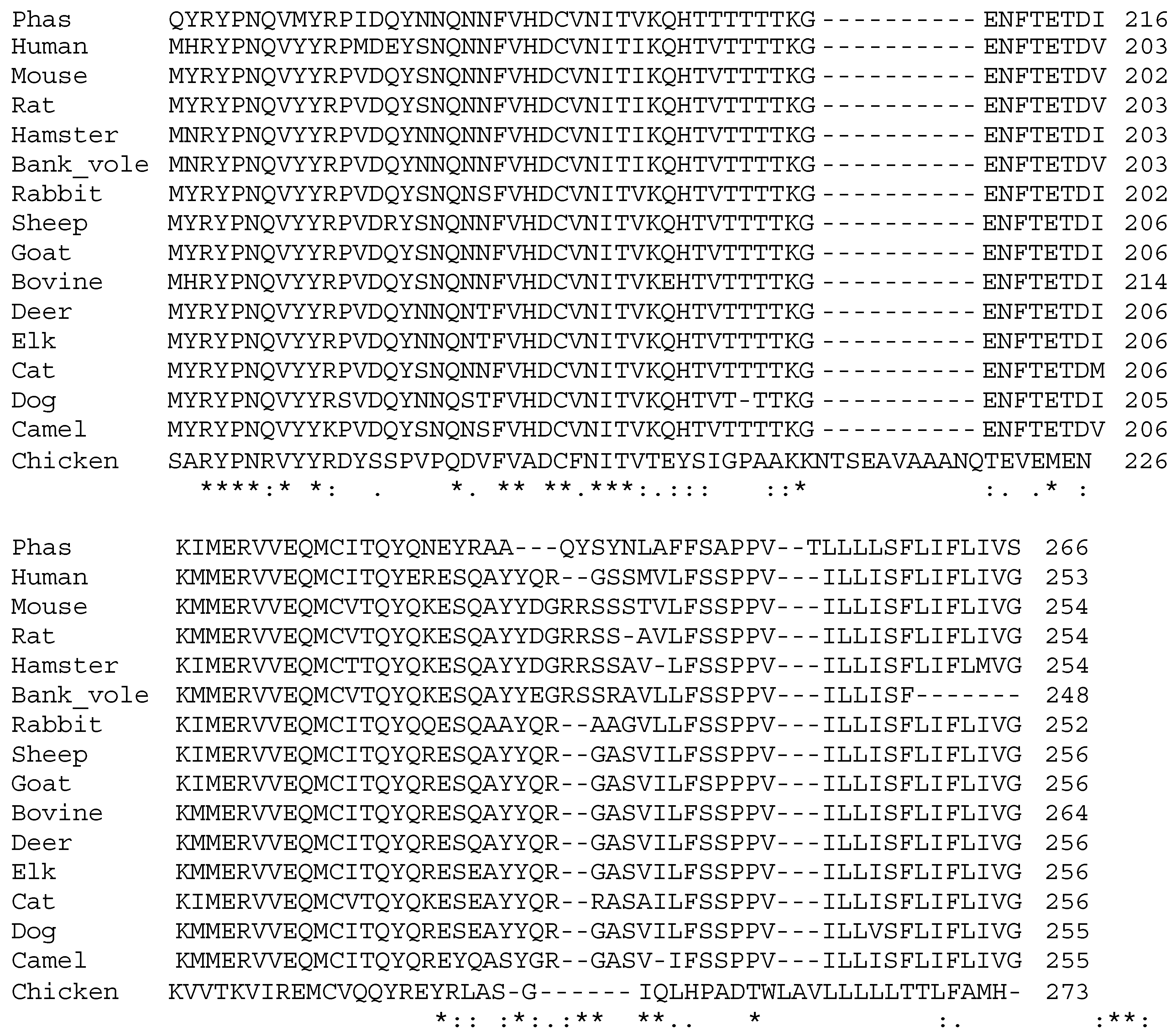 Brainsci 15 00250 g004b Brainsci 15 00250 g004b