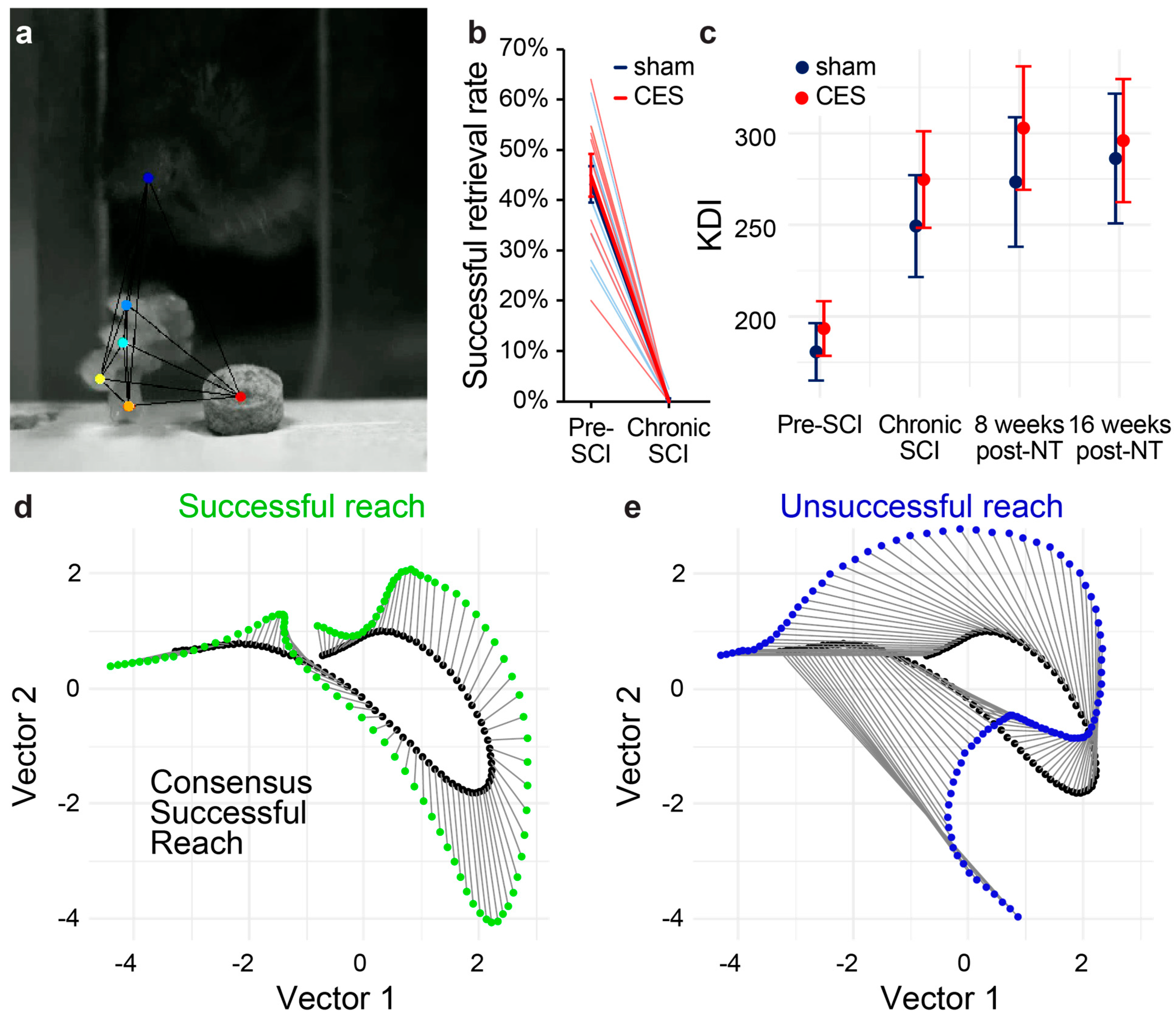 Brainsci 15 00251 g003