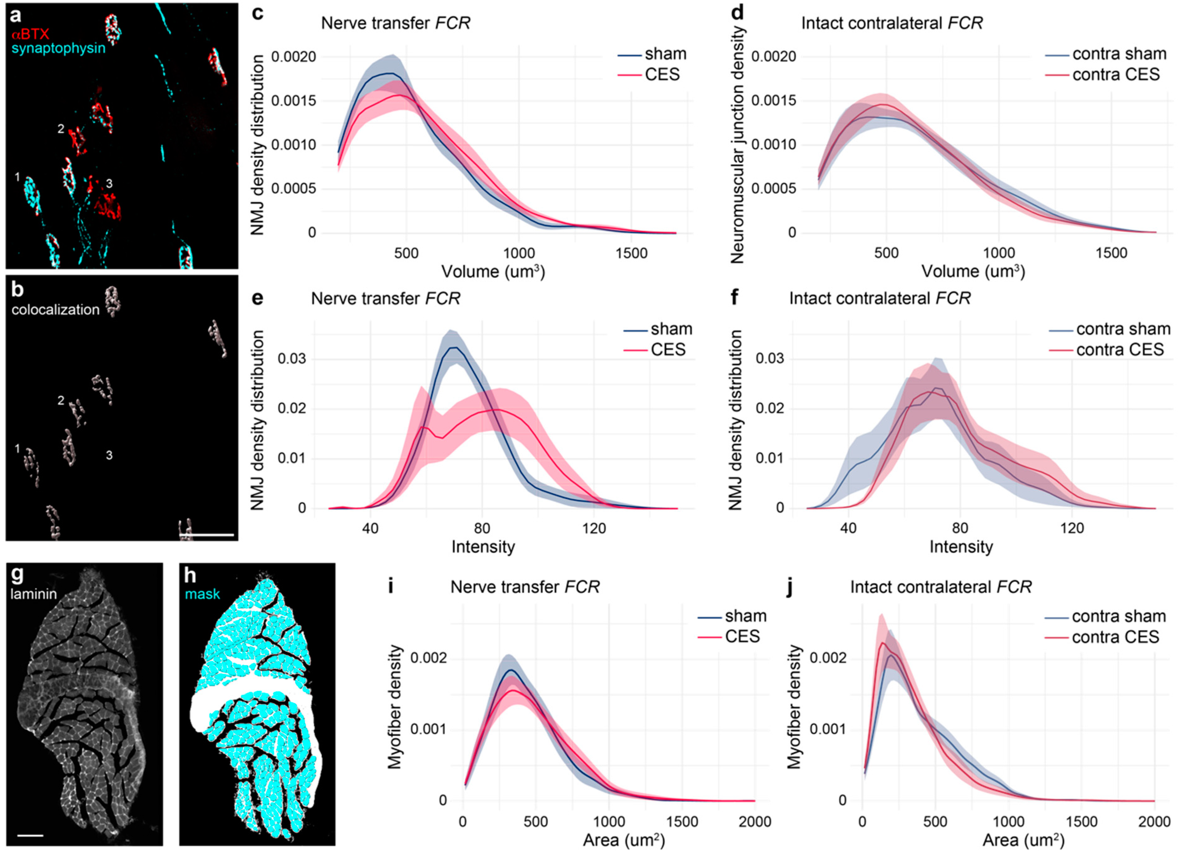 Brainsci 15 00251 g005