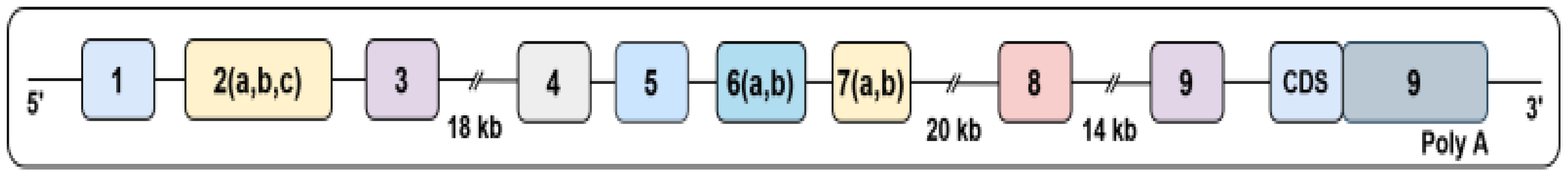 Brainsci 15 00252 g001 Brainsci 15 00252 g001