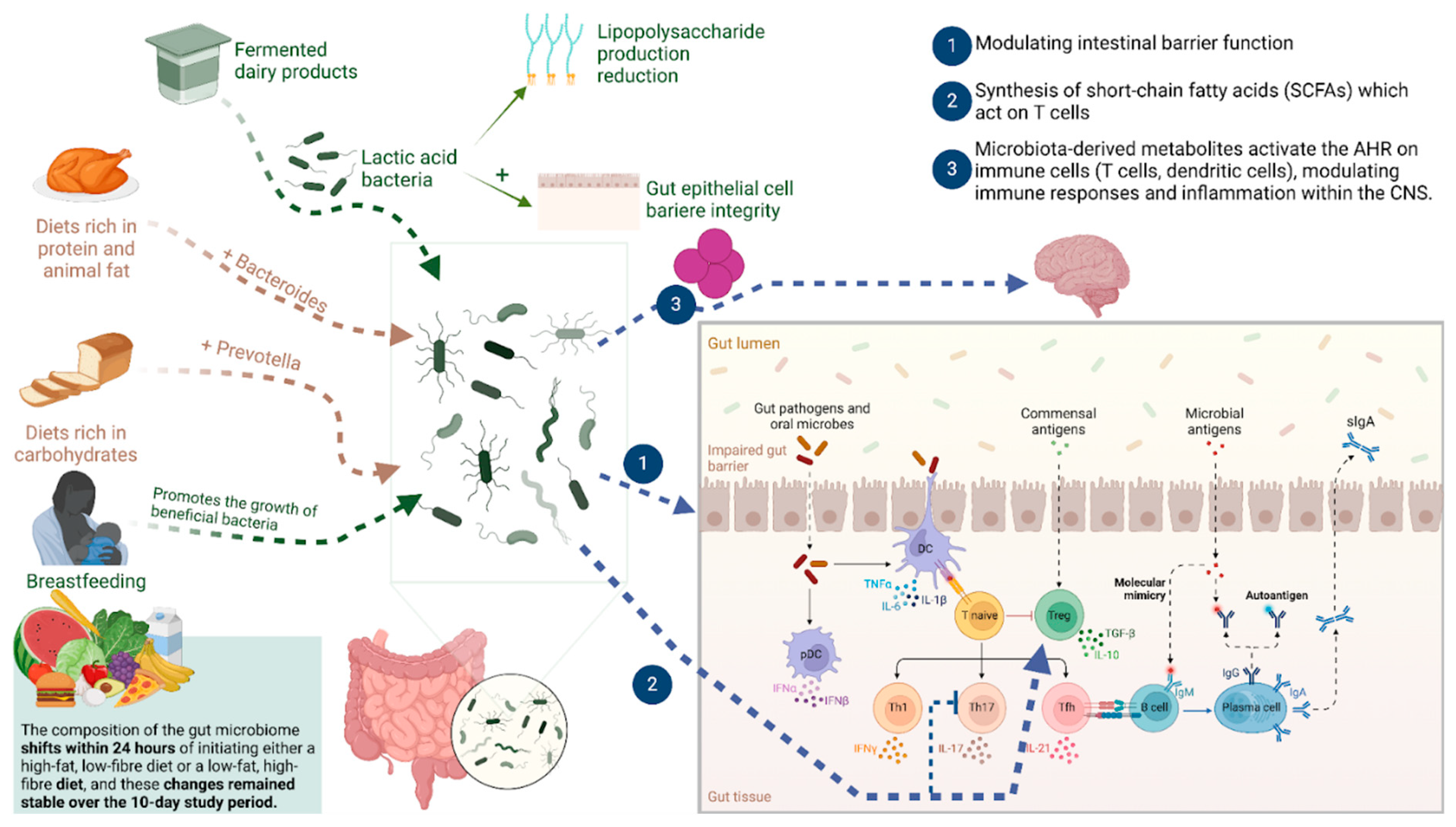 Brainsci 15 00253 g003