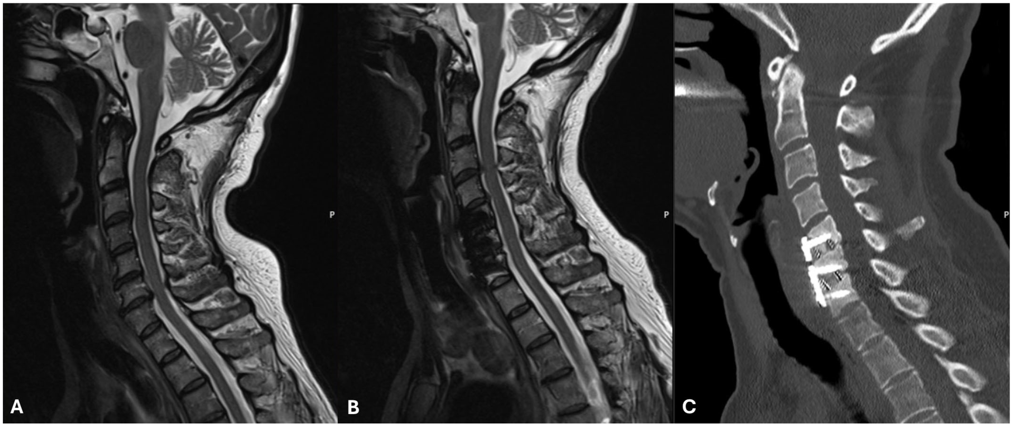 Brainsci 15 00256 g001 Brainsci 15 00256 g001