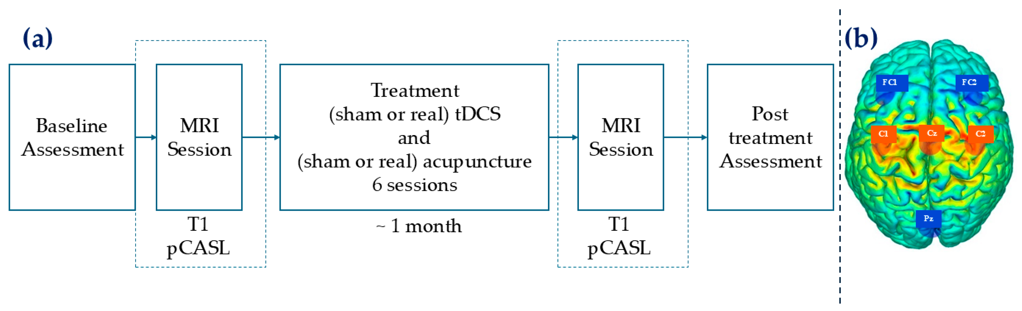 Brainsci 15 00261 g001