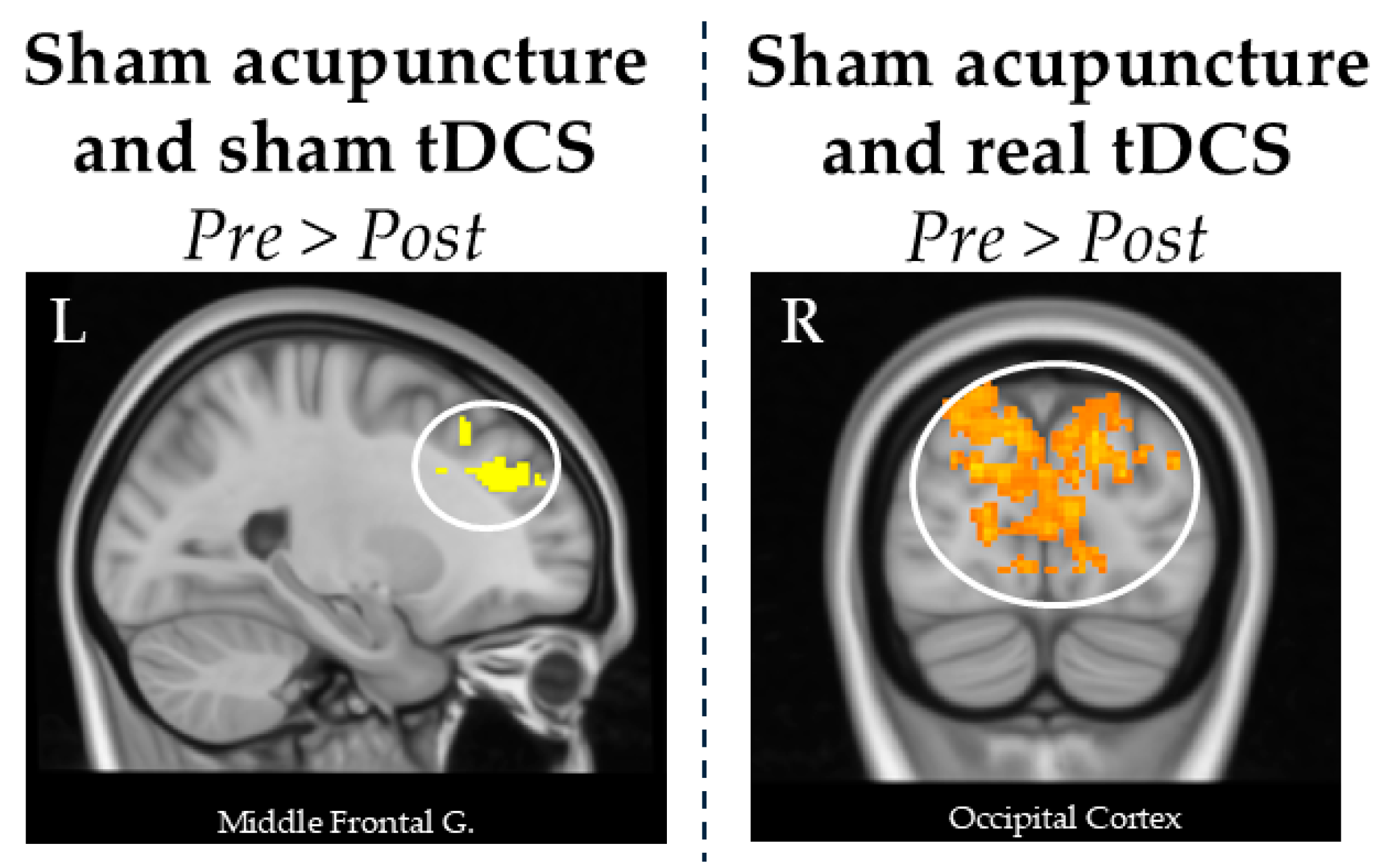 Brainsci 15 00261 g002