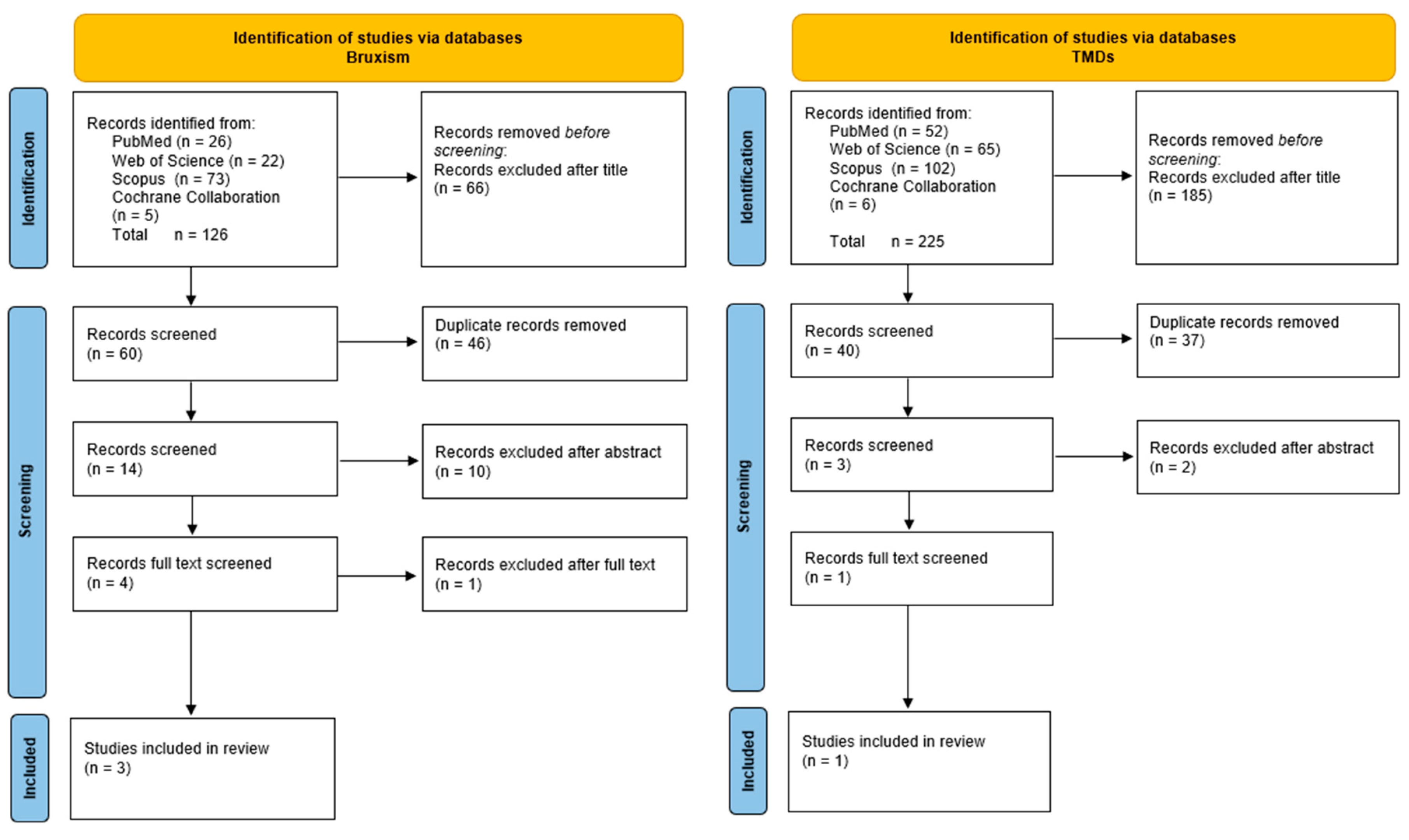 Brainsci 15 00276 g001