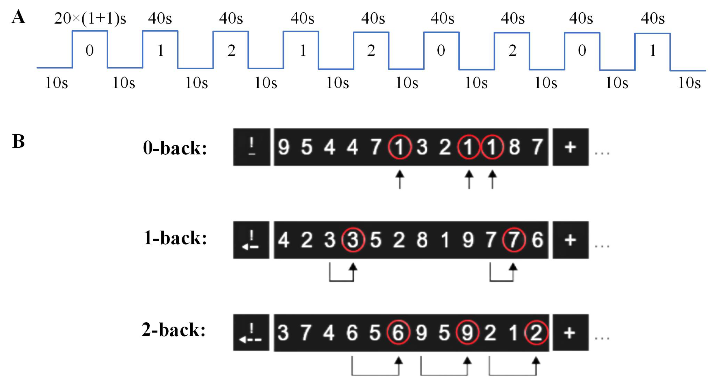 Brainsci 15 00277 g001