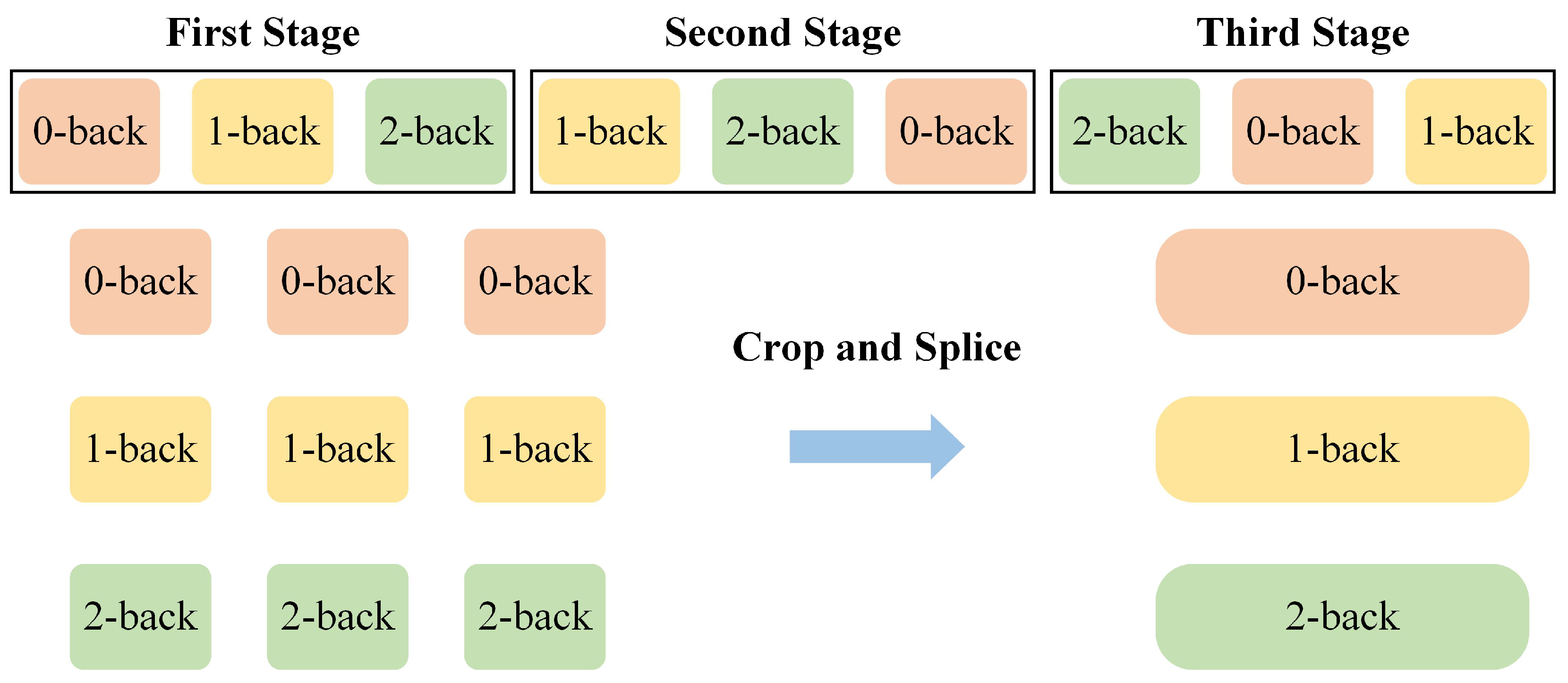 Brainsci 15 00277 g002