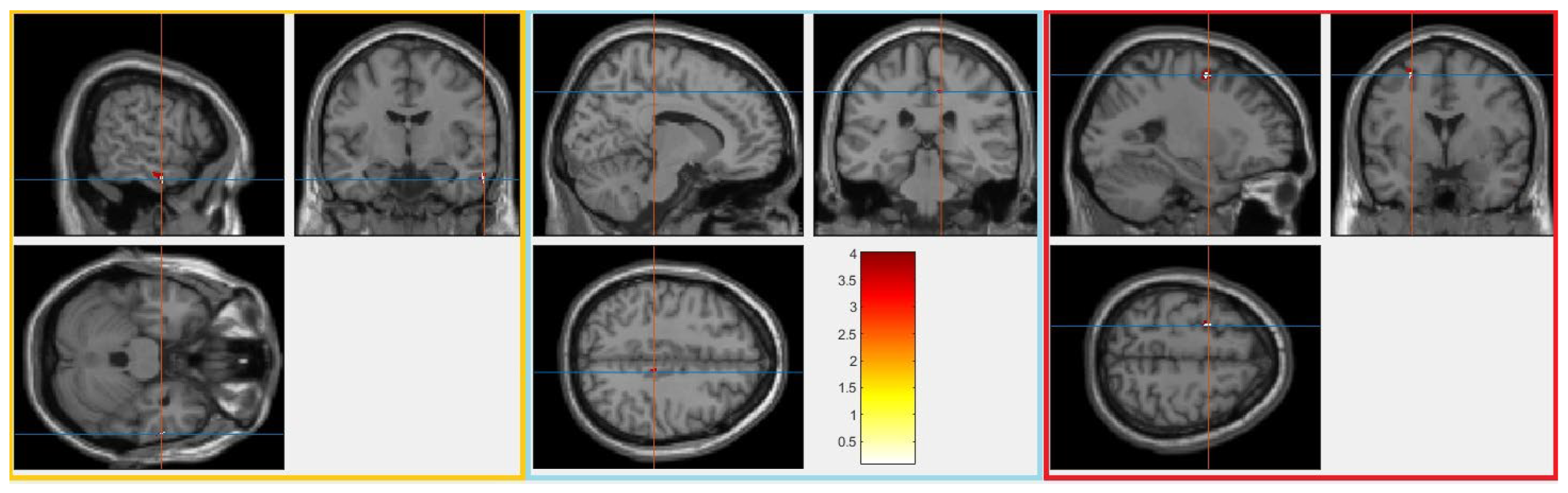 Brainsci 15 00285 g002