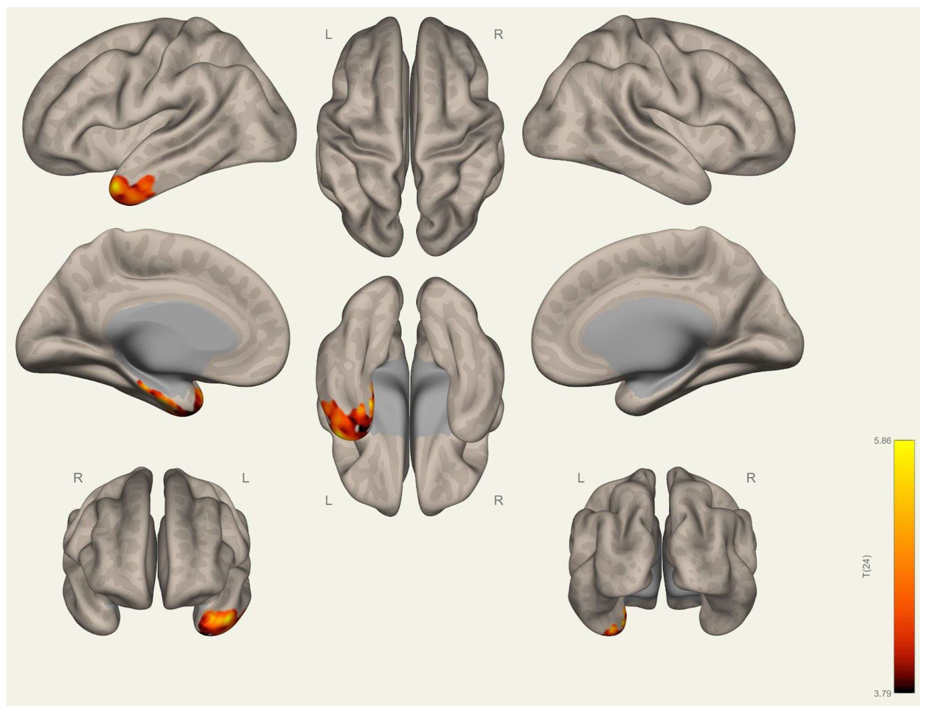 Brainsci 15 00285 g003