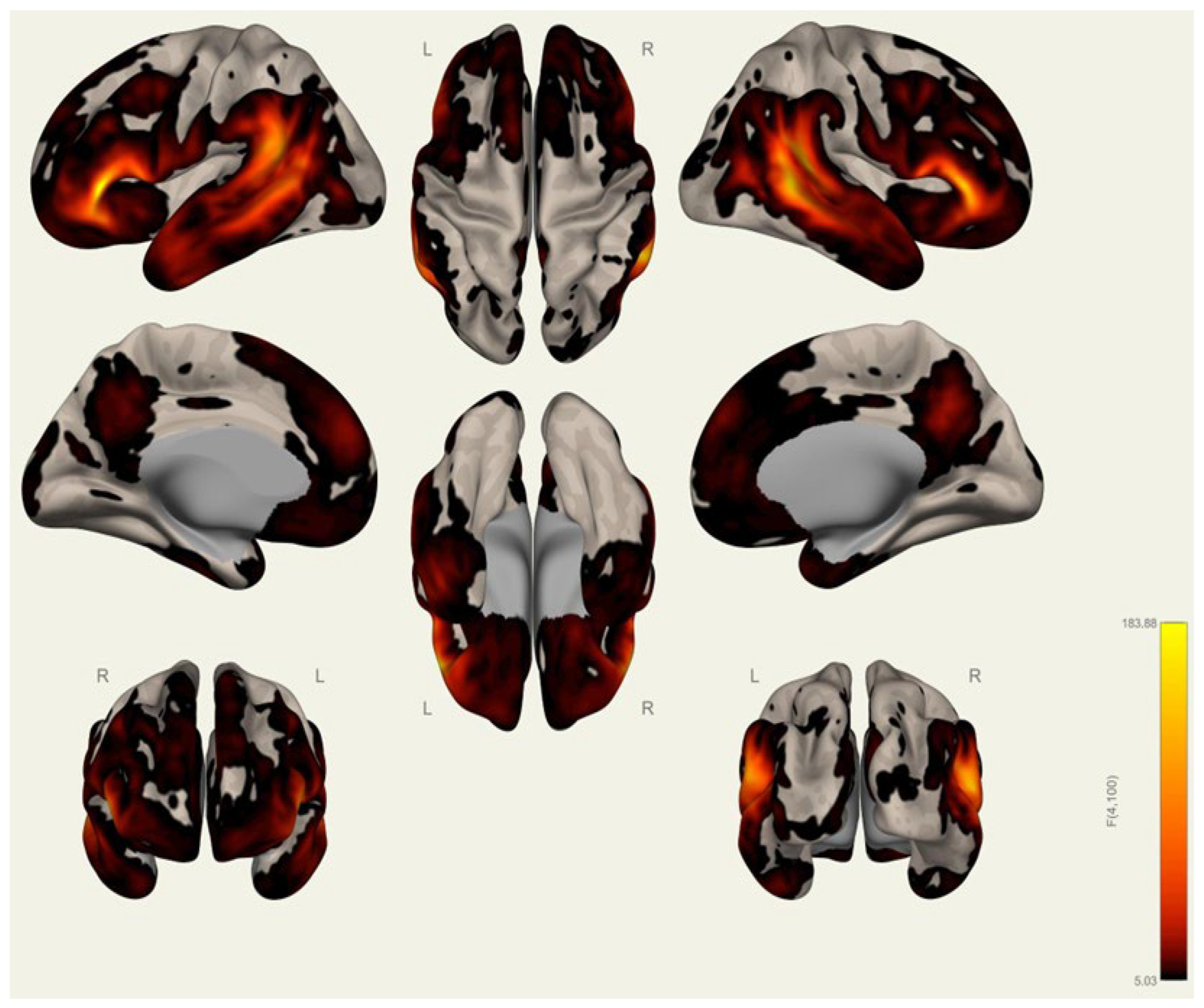 Brainsci 15 00285 g0a10