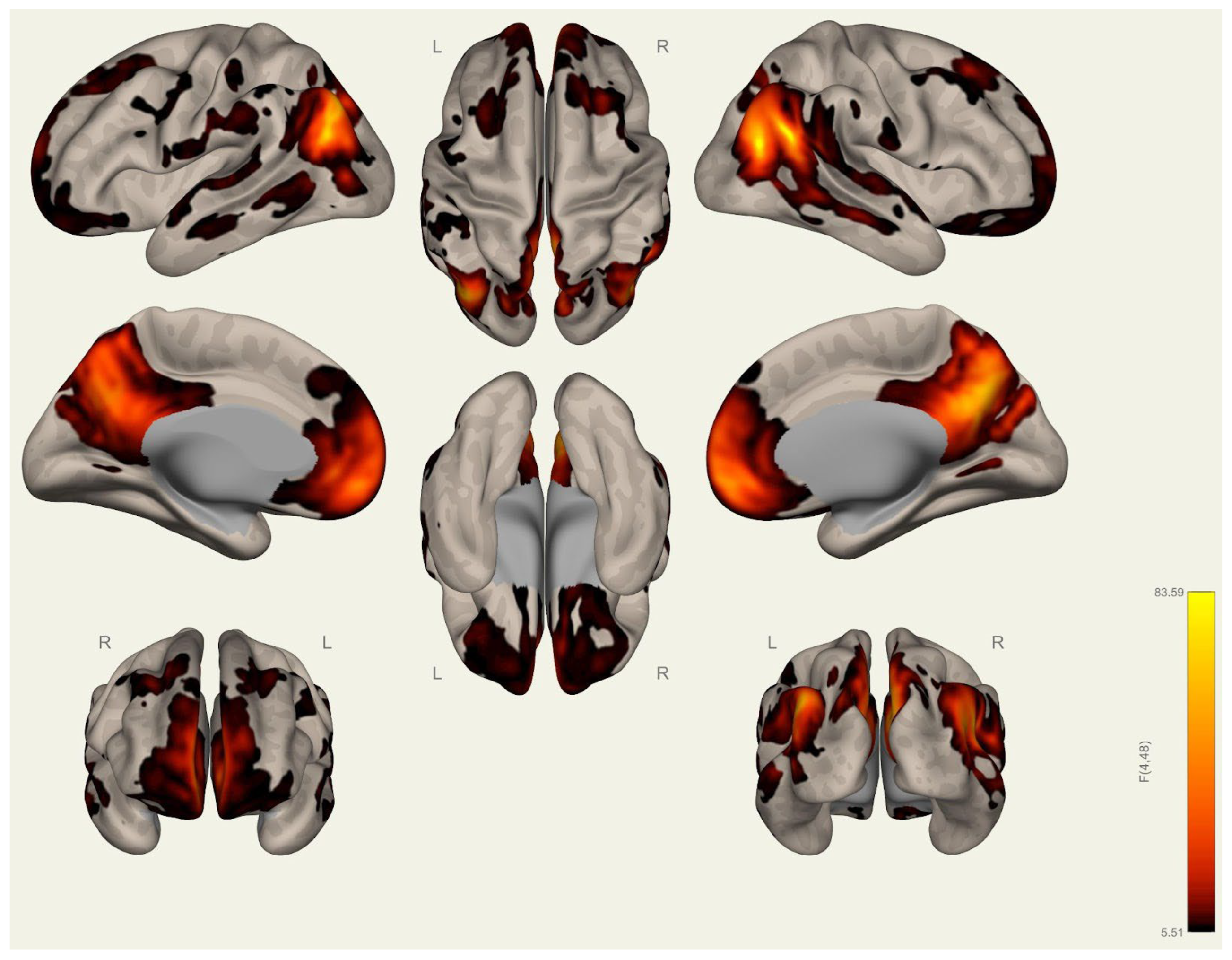 Brainsci 15 00285 g0a12