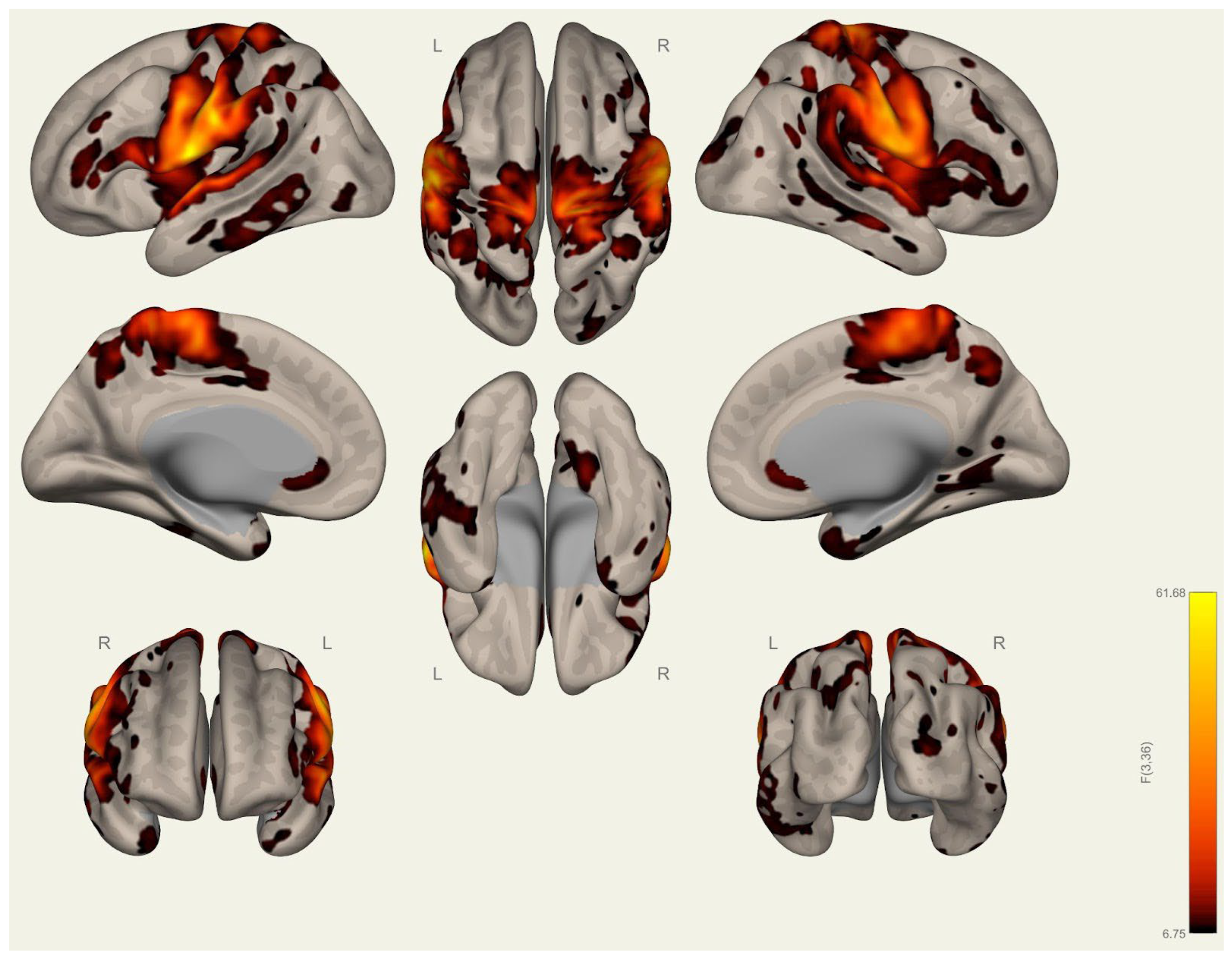 Brainsci 15 00285 g0a13