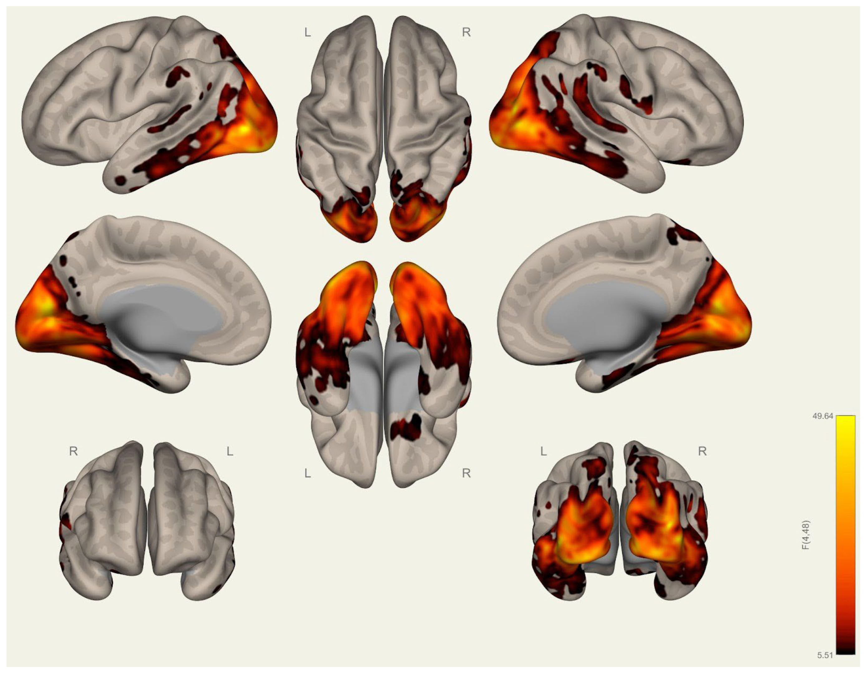 Brainsci 15 00285 g0a14