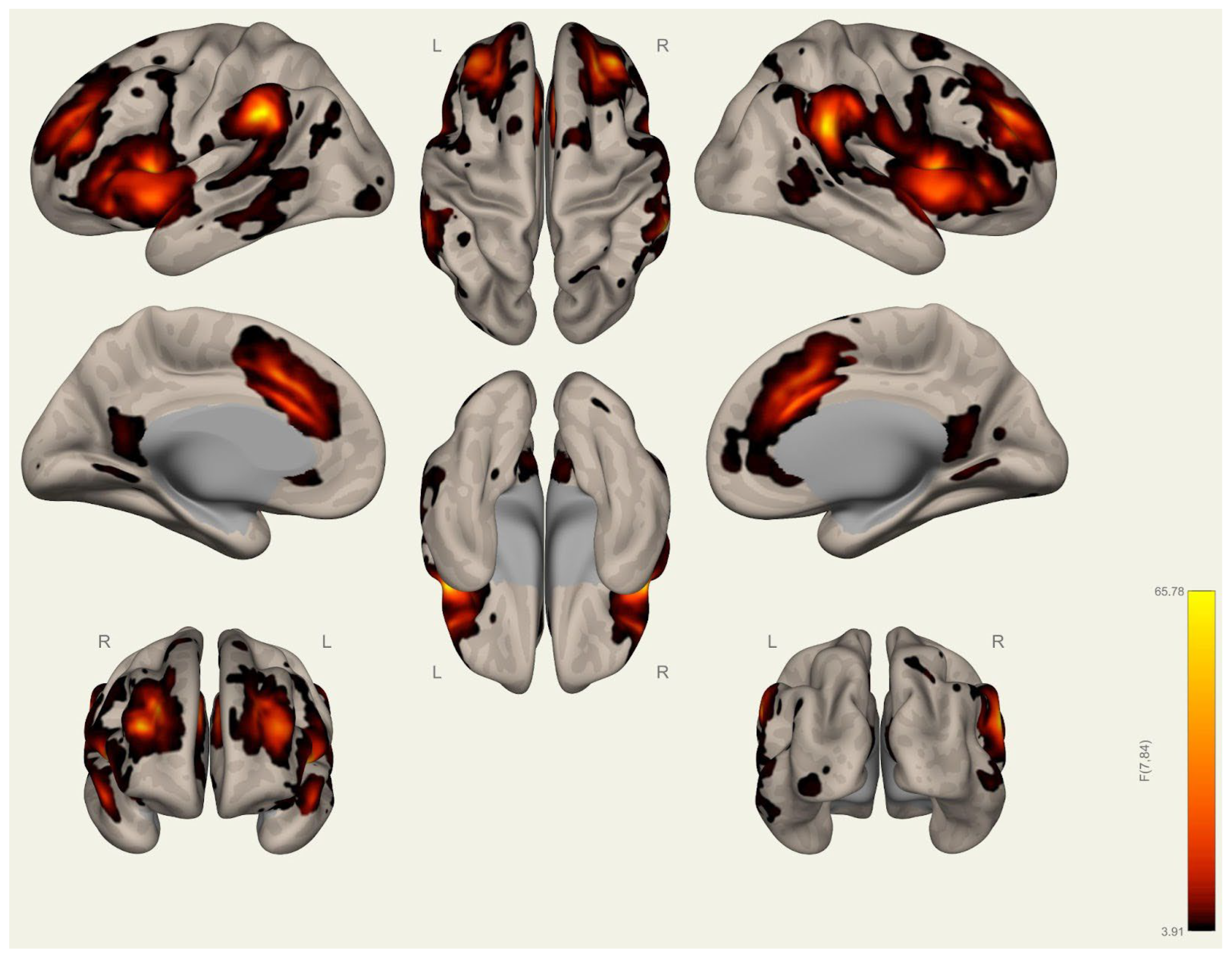 Brainsci 15 00285 g0a15