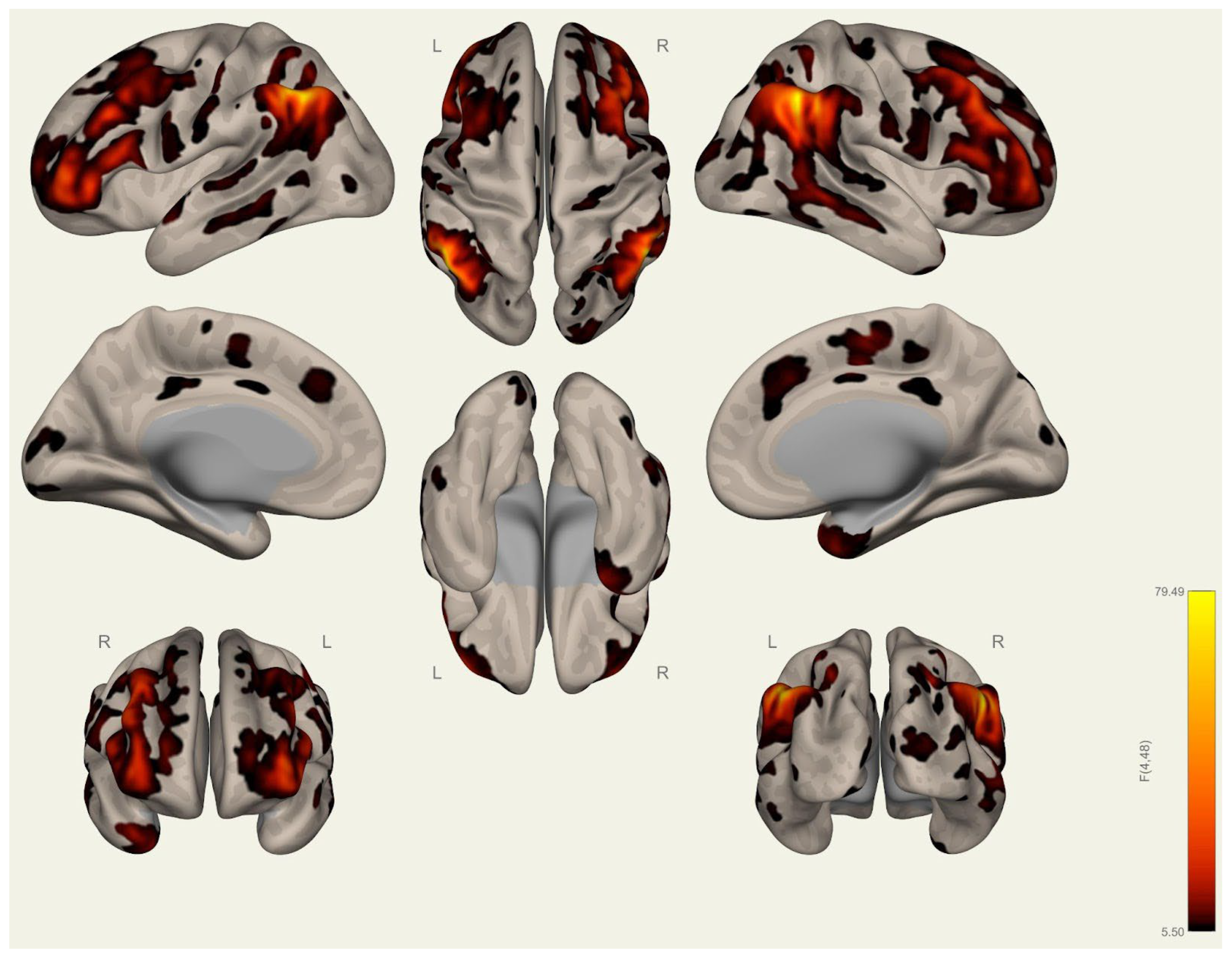 Brainsci 15 00285 g0a17