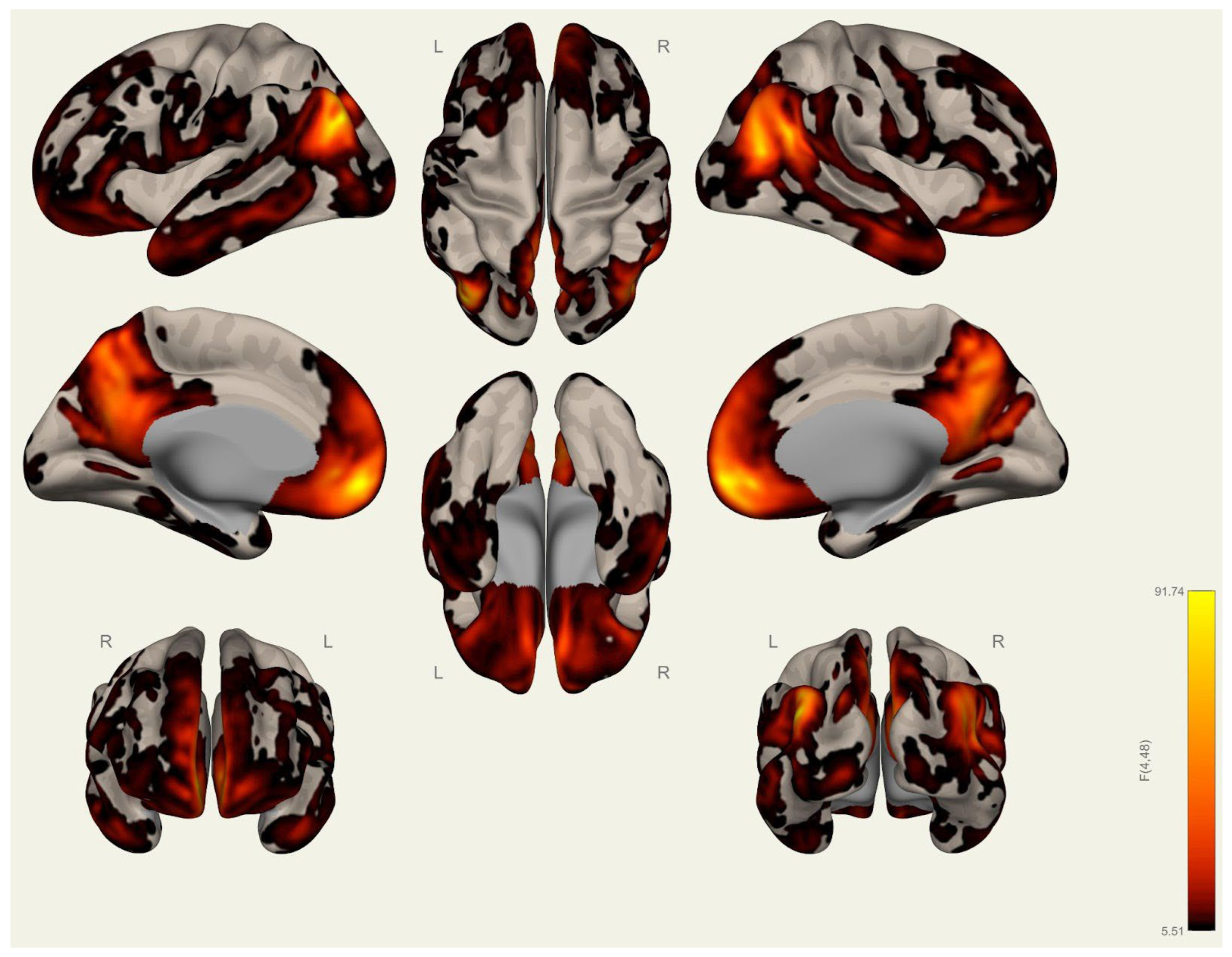 Brainsci 15 00285 g0a20