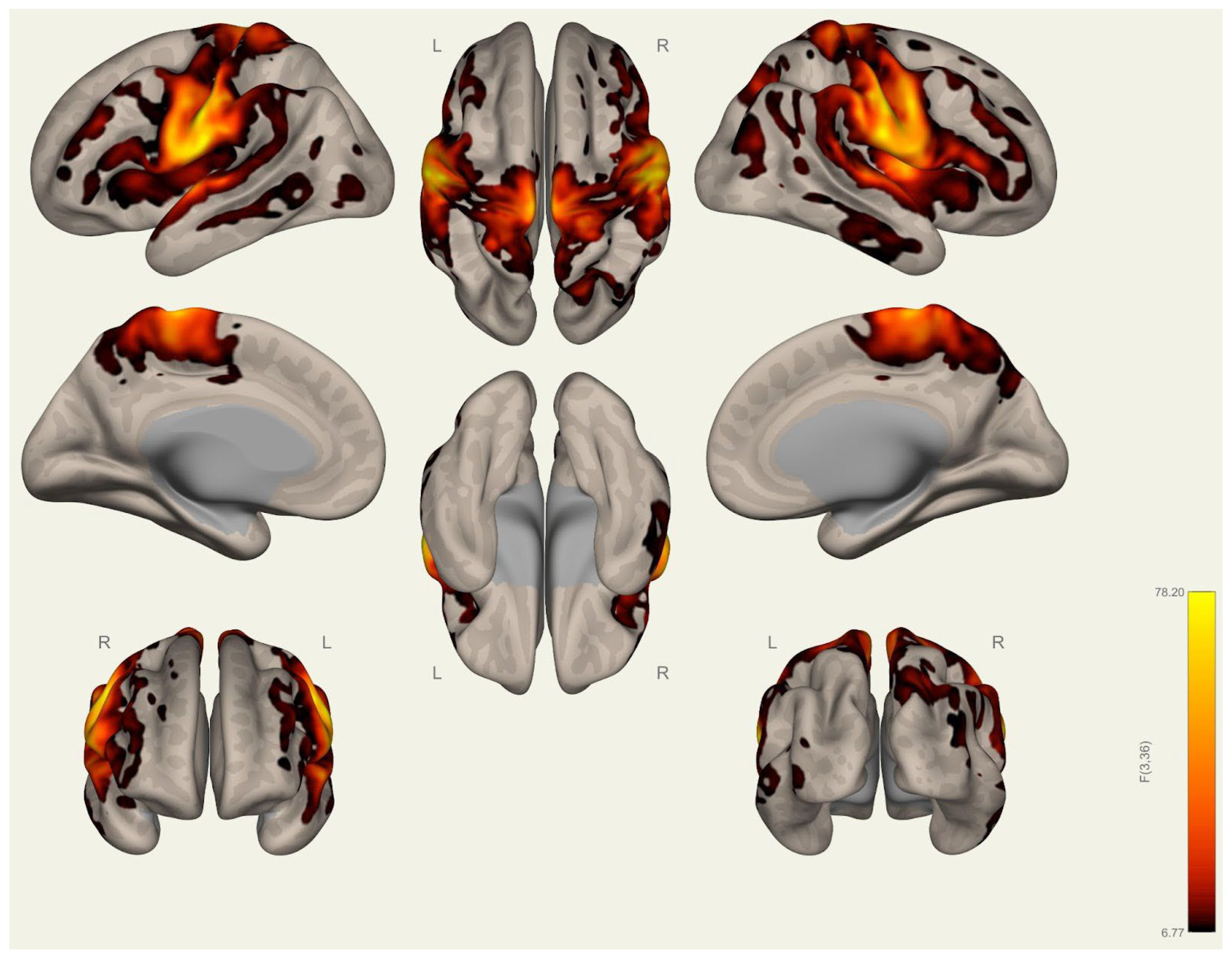 Brainsci 15 00285 g0a21