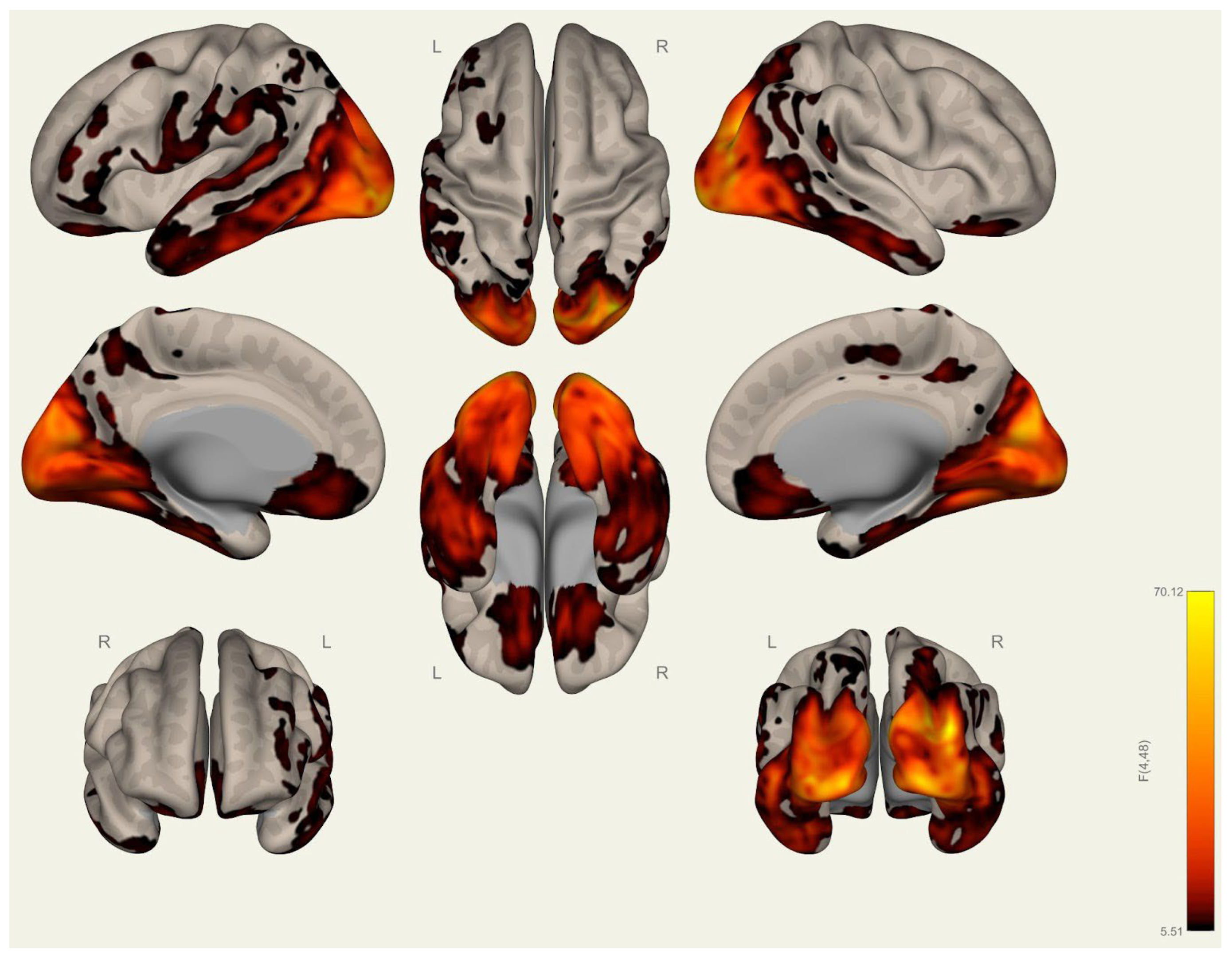 Brainsci 15 00285 g0a22