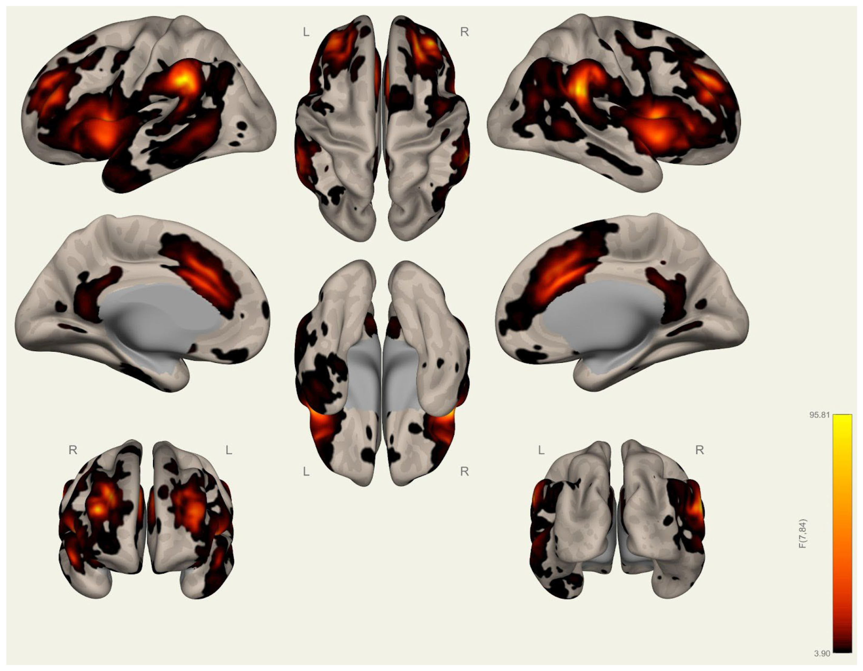 Brainsci 15 00285 g0a23