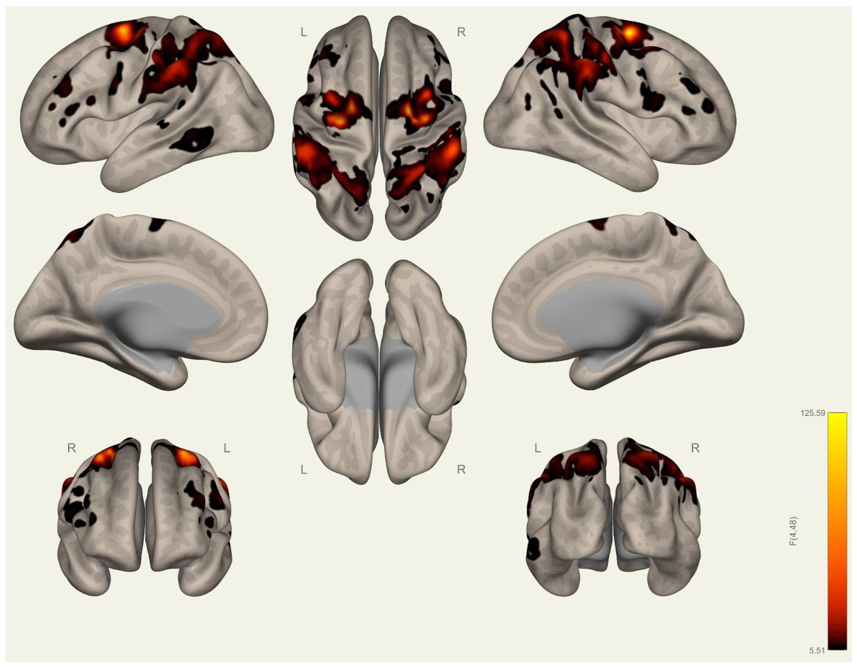 Brainsci 15 00285 g0a24