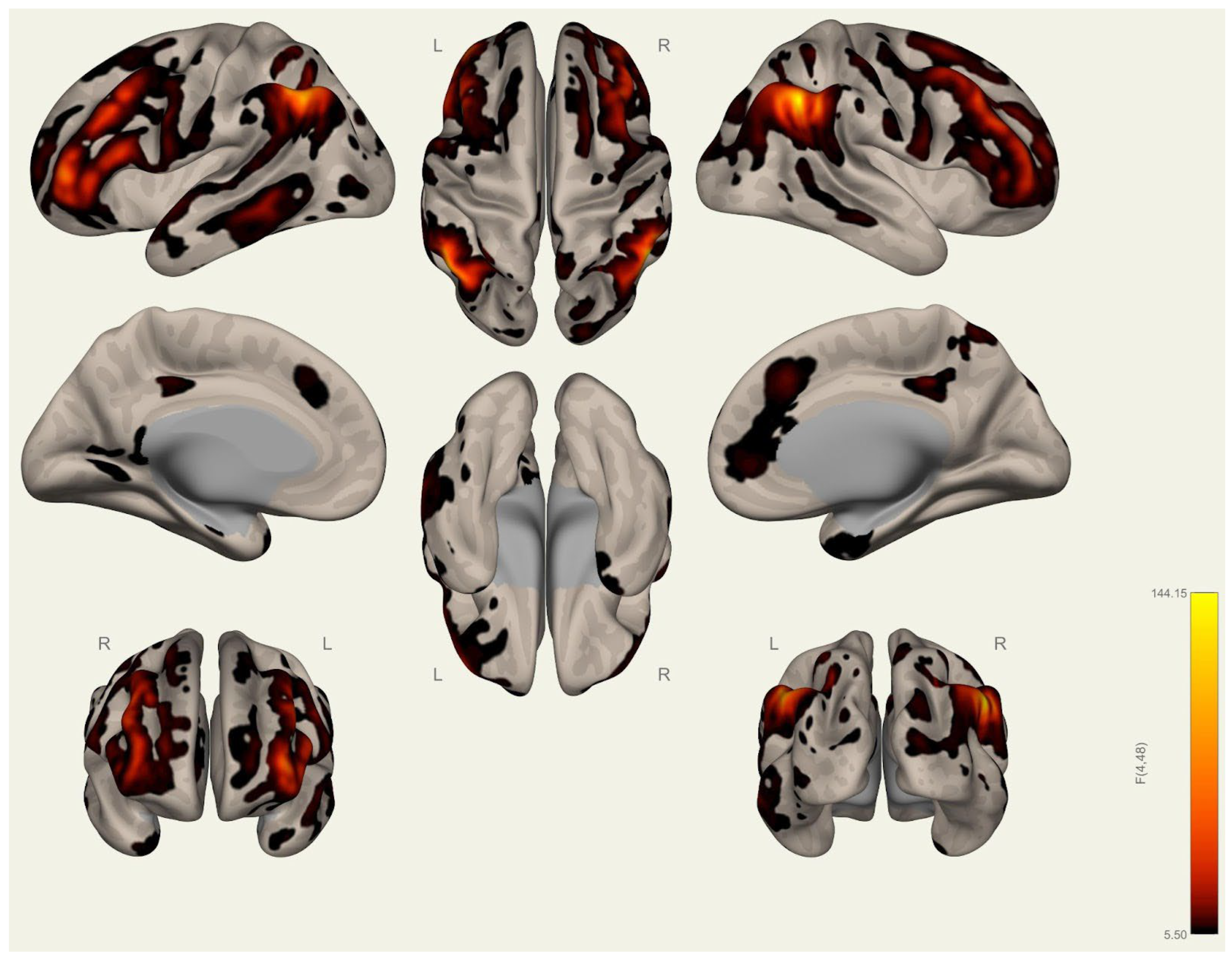 Brainsci 15 00285 g0a25