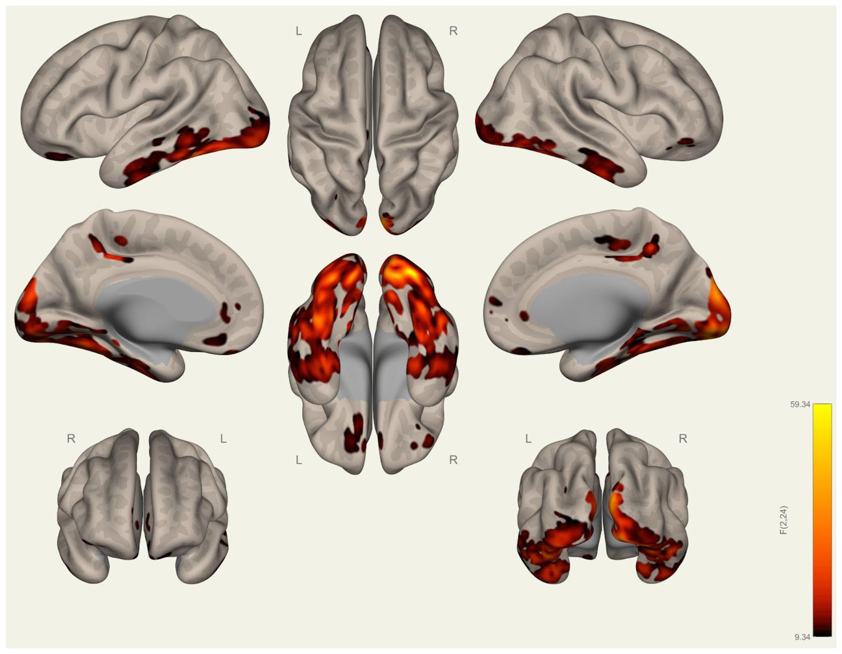 Brainsci 15 00285 g0a27