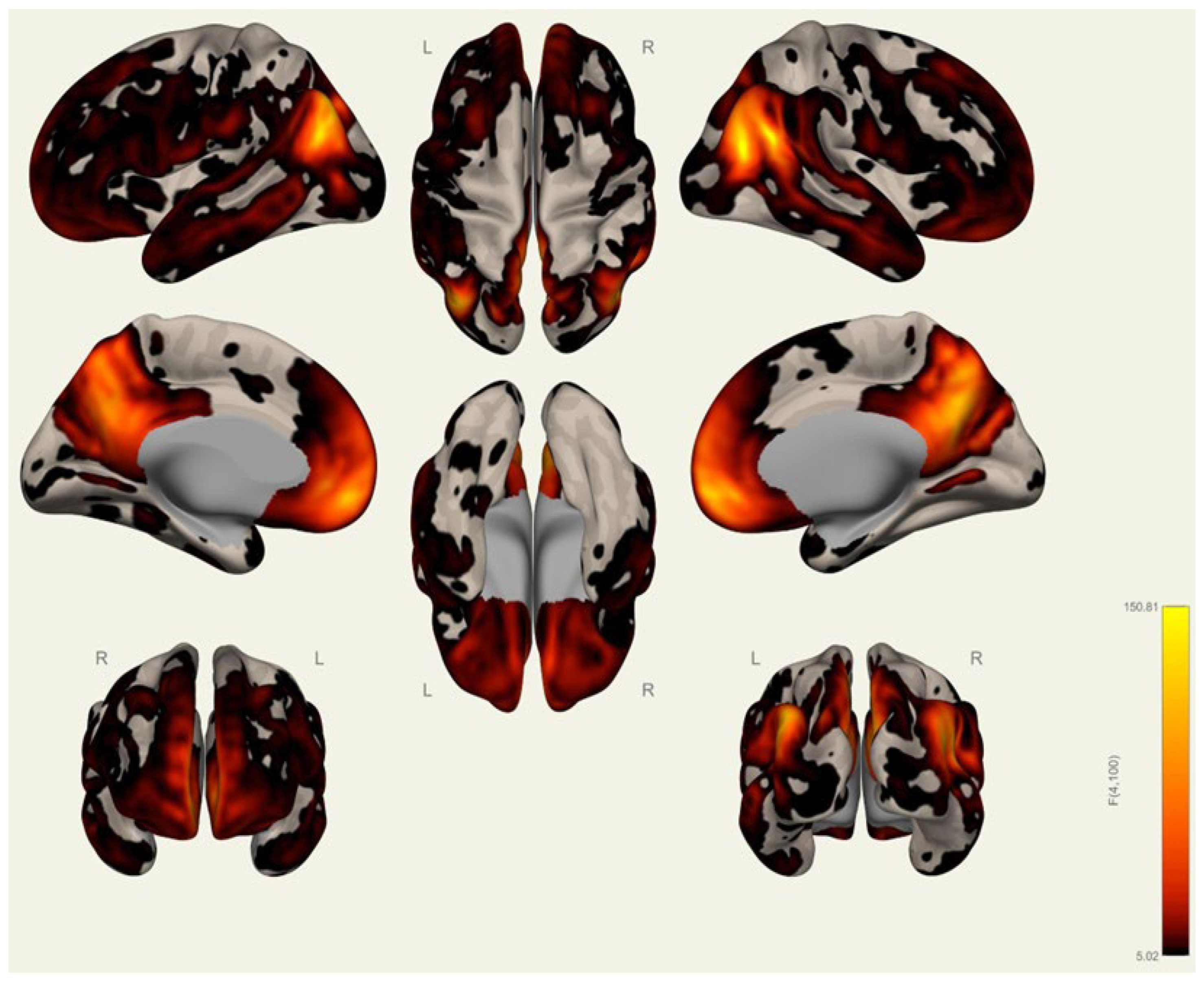 Brainsci 15 00285 g0a4
