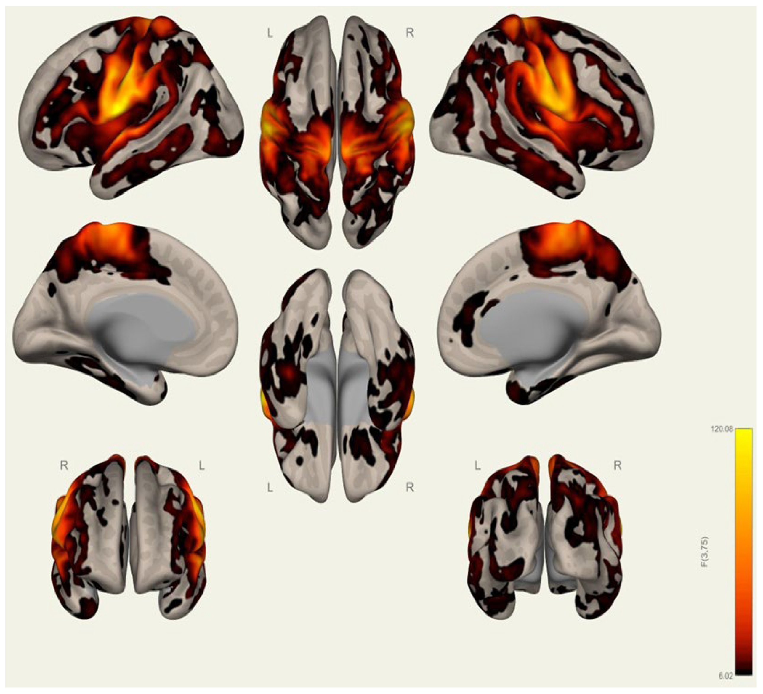 Brainsci 15 00285 g0a5