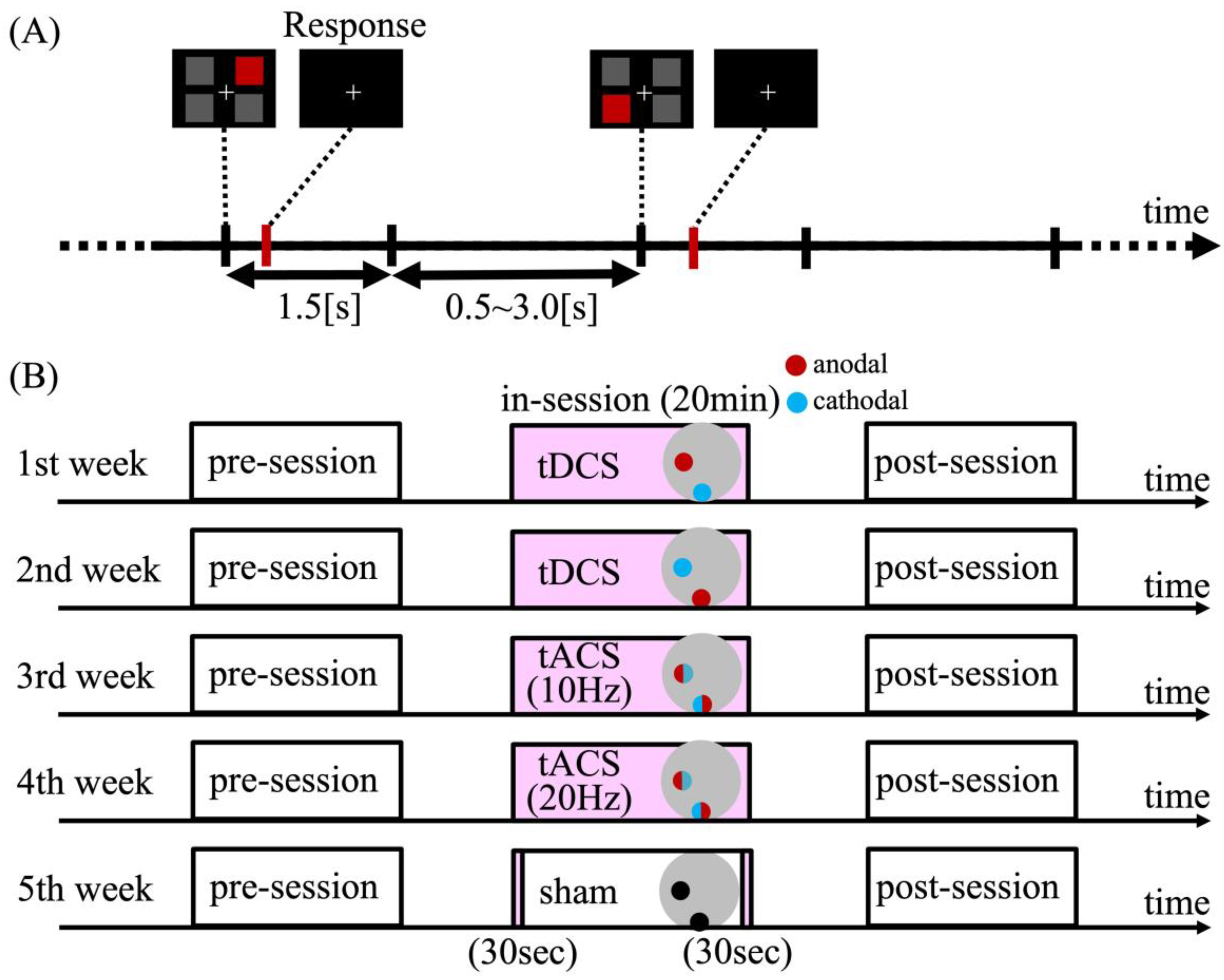 Brainsci 15 00286 g001
