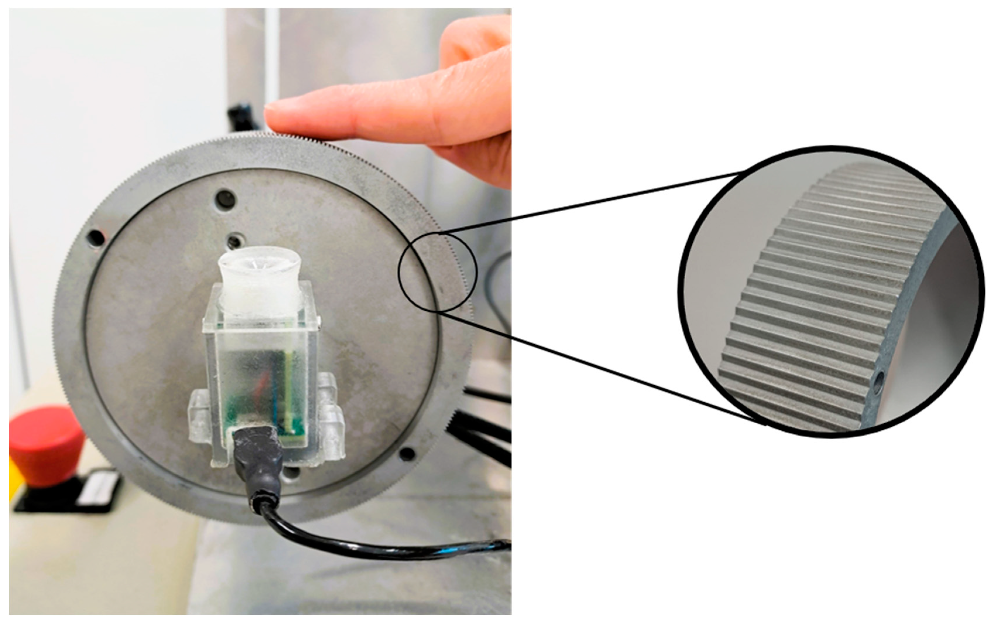 Brainsci 15 00288 g001 Brainsci 15 00288 g001