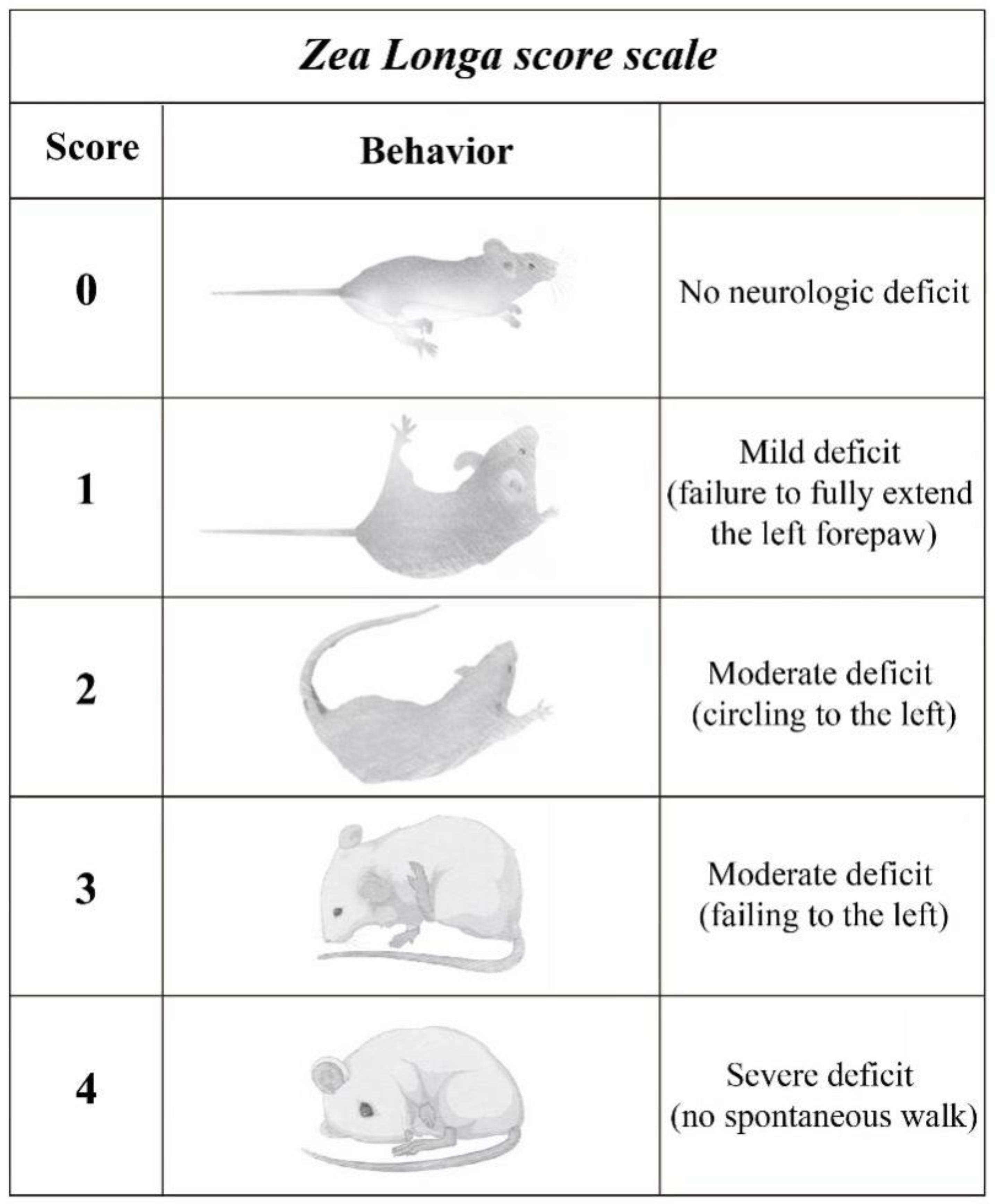 Brainsci 15 00290 g001