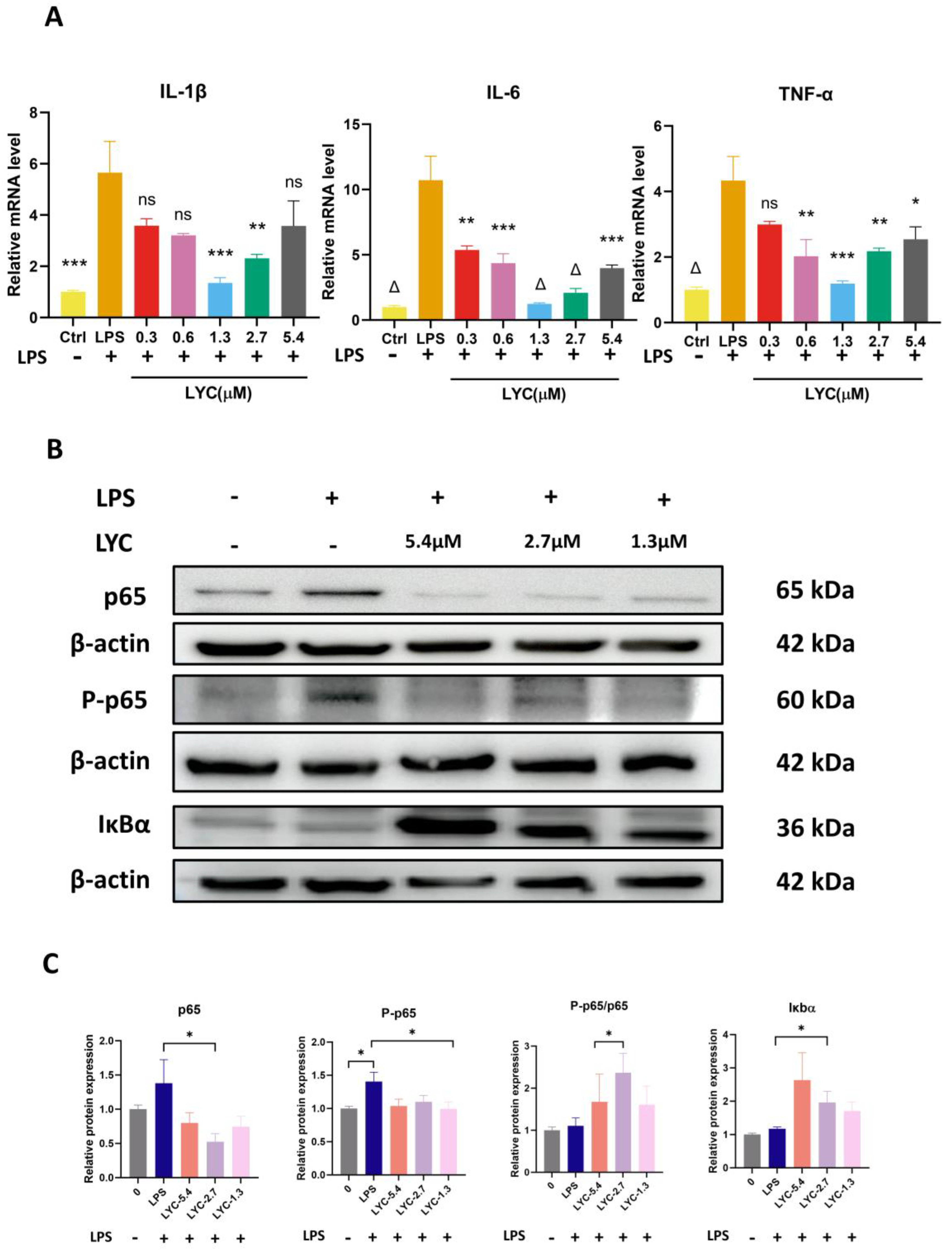 Brainsci 15 00290 g003