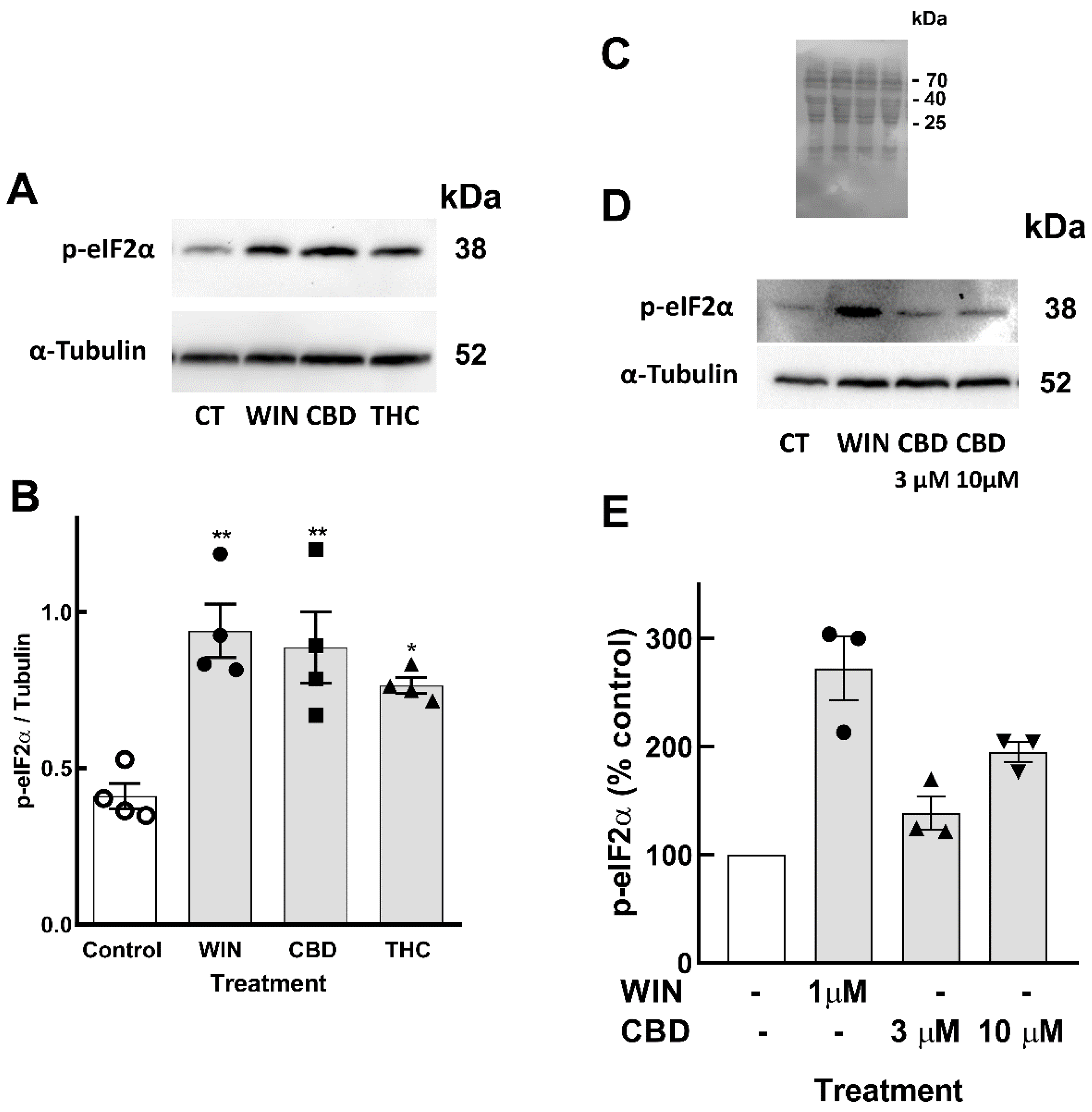 Brainsci 15 00291 g005 Brainsci 15 00291 g005
