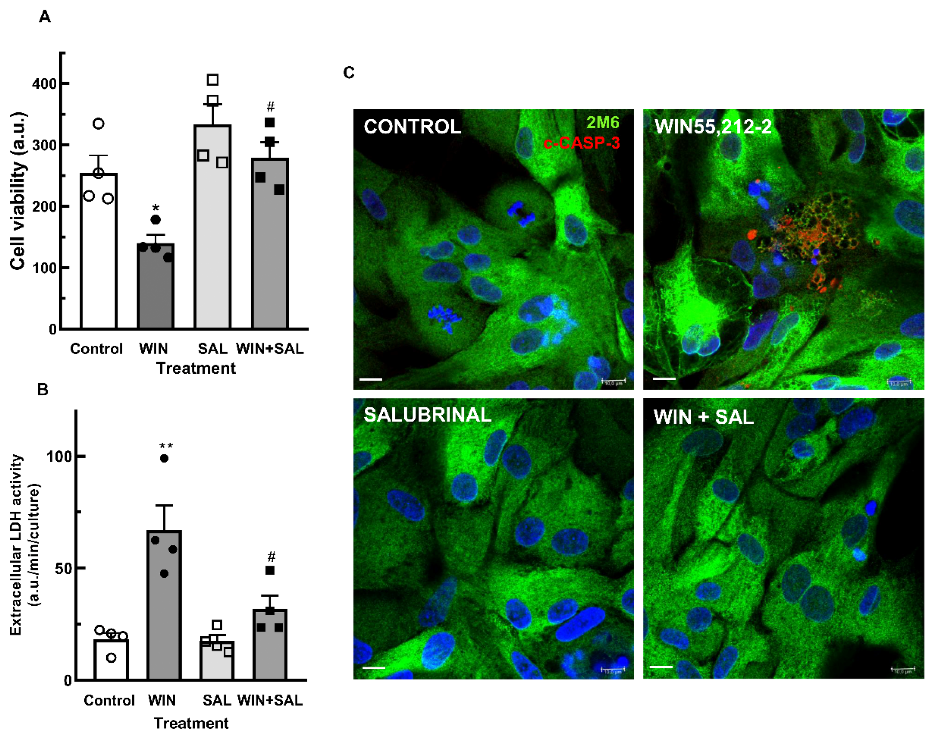 Brainsci 15 00291 g008 Brainsci 15 00291 g008