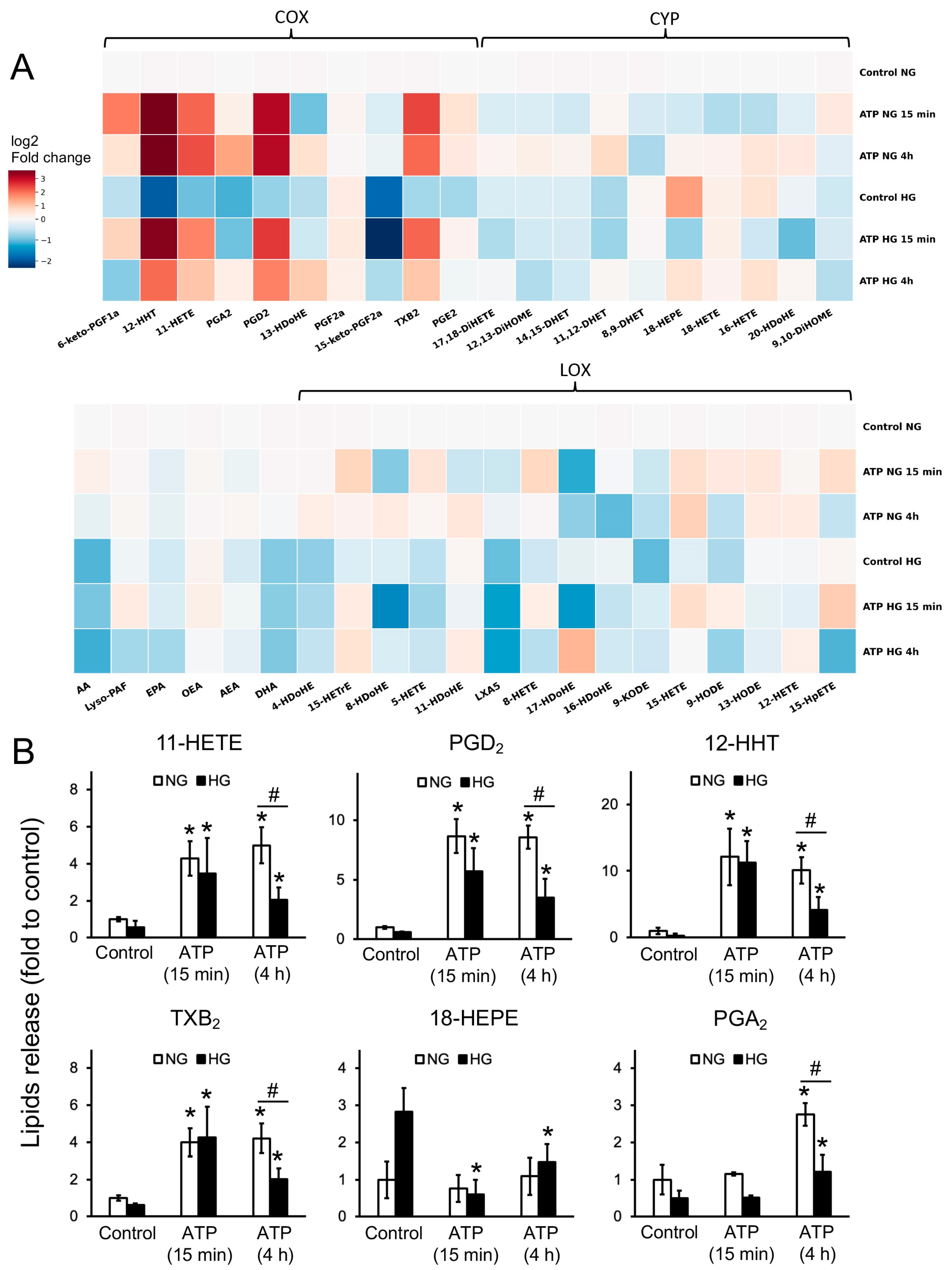 Brainsci 15 00293 g001