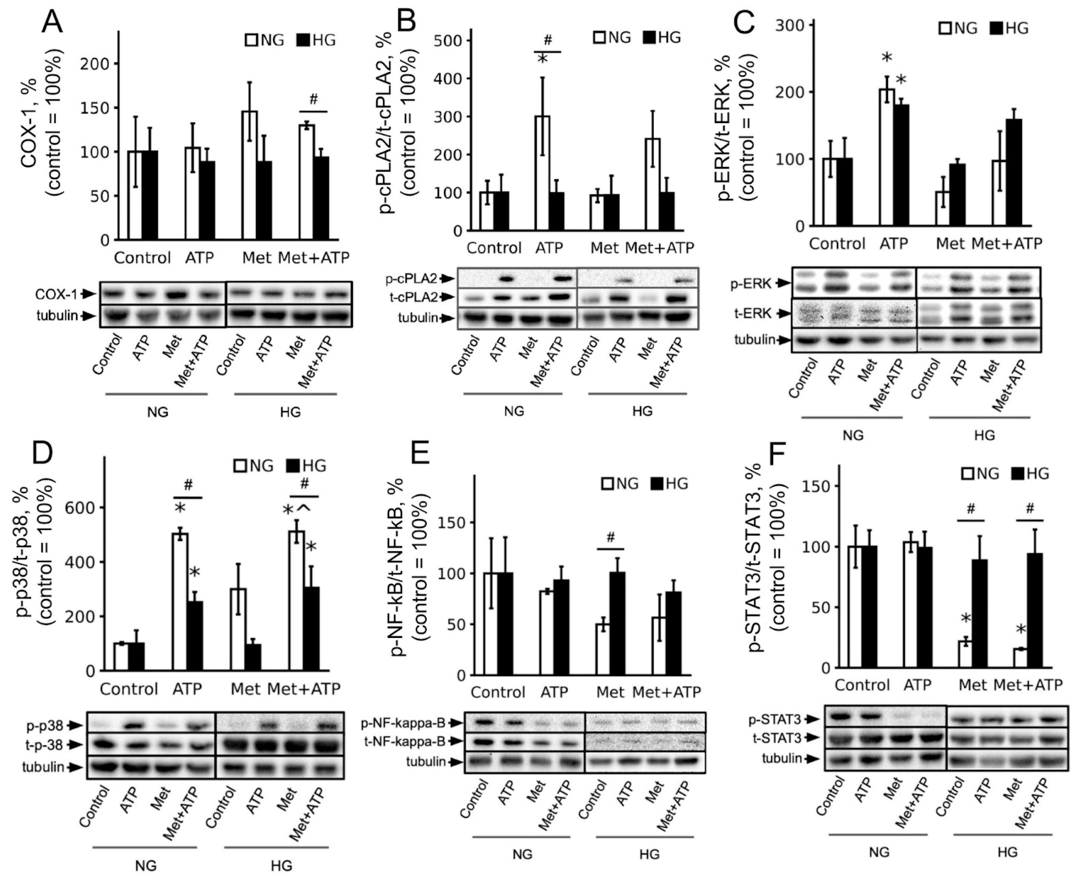 Brainsci 15 00293 g004