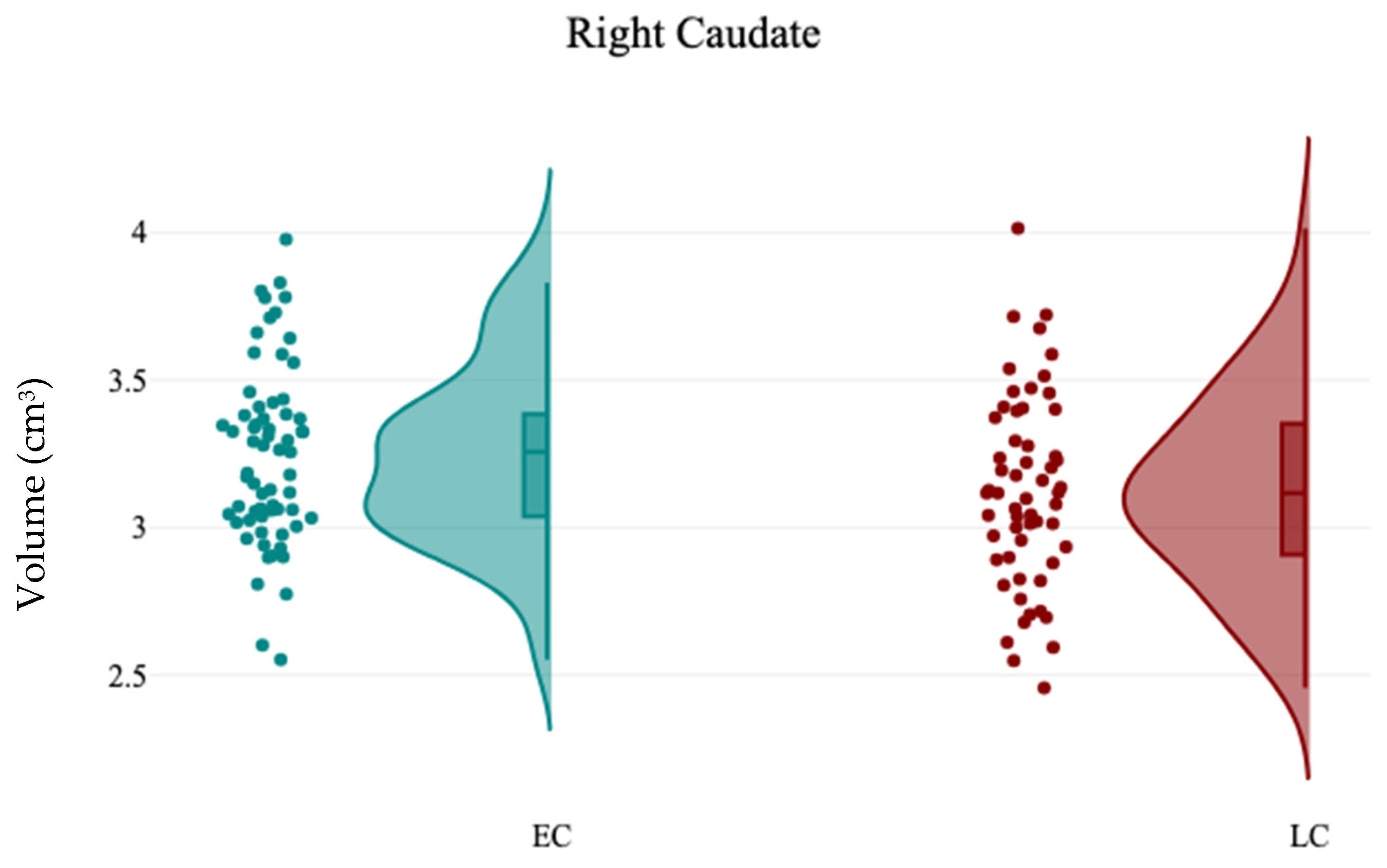 Brainsci 15 00295 g004