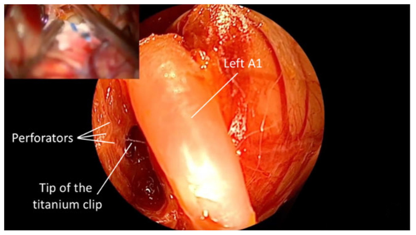 Brainsci 15 00300 g007