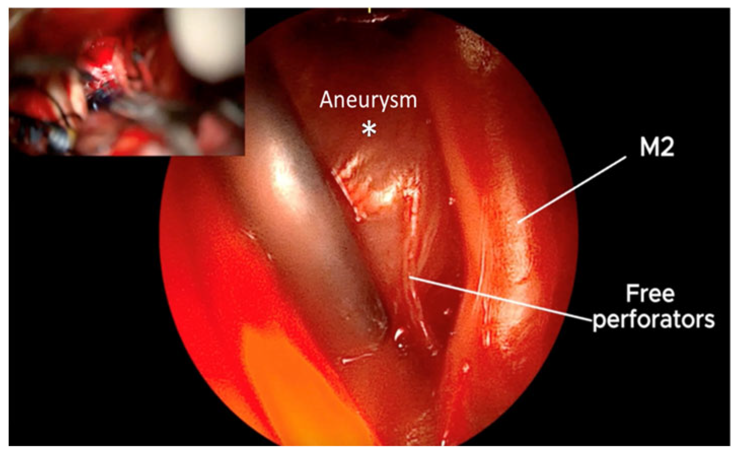 Brainsci 15 00300 g009