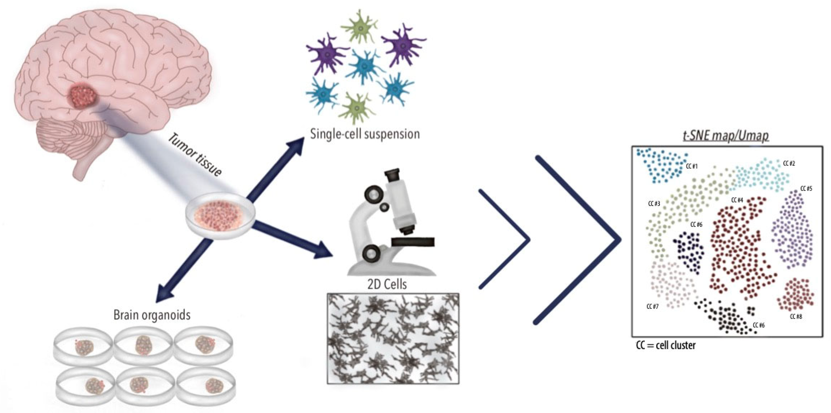 Brainsci 15 00309 g003