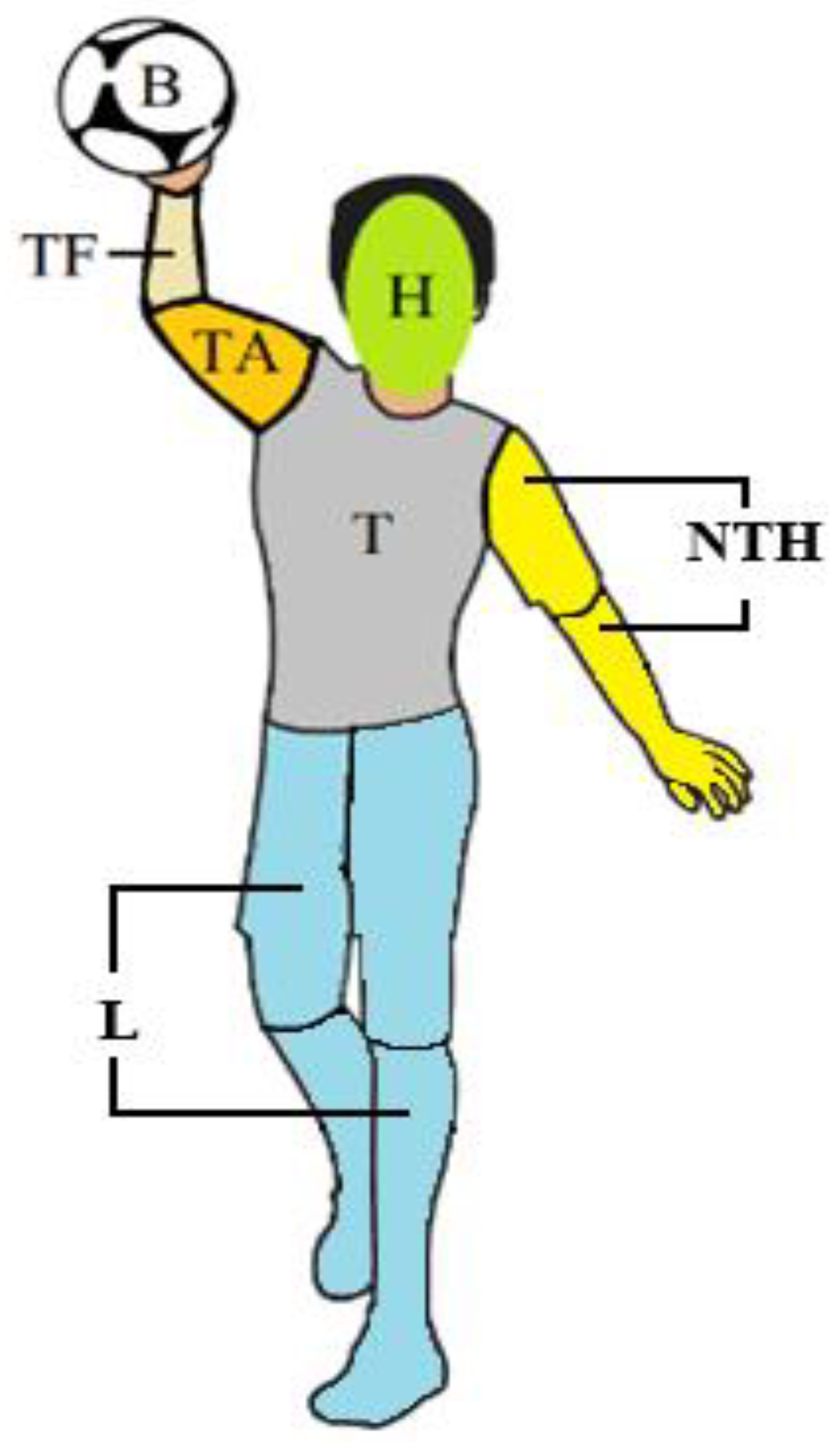 Brainsci 15 00312 g001