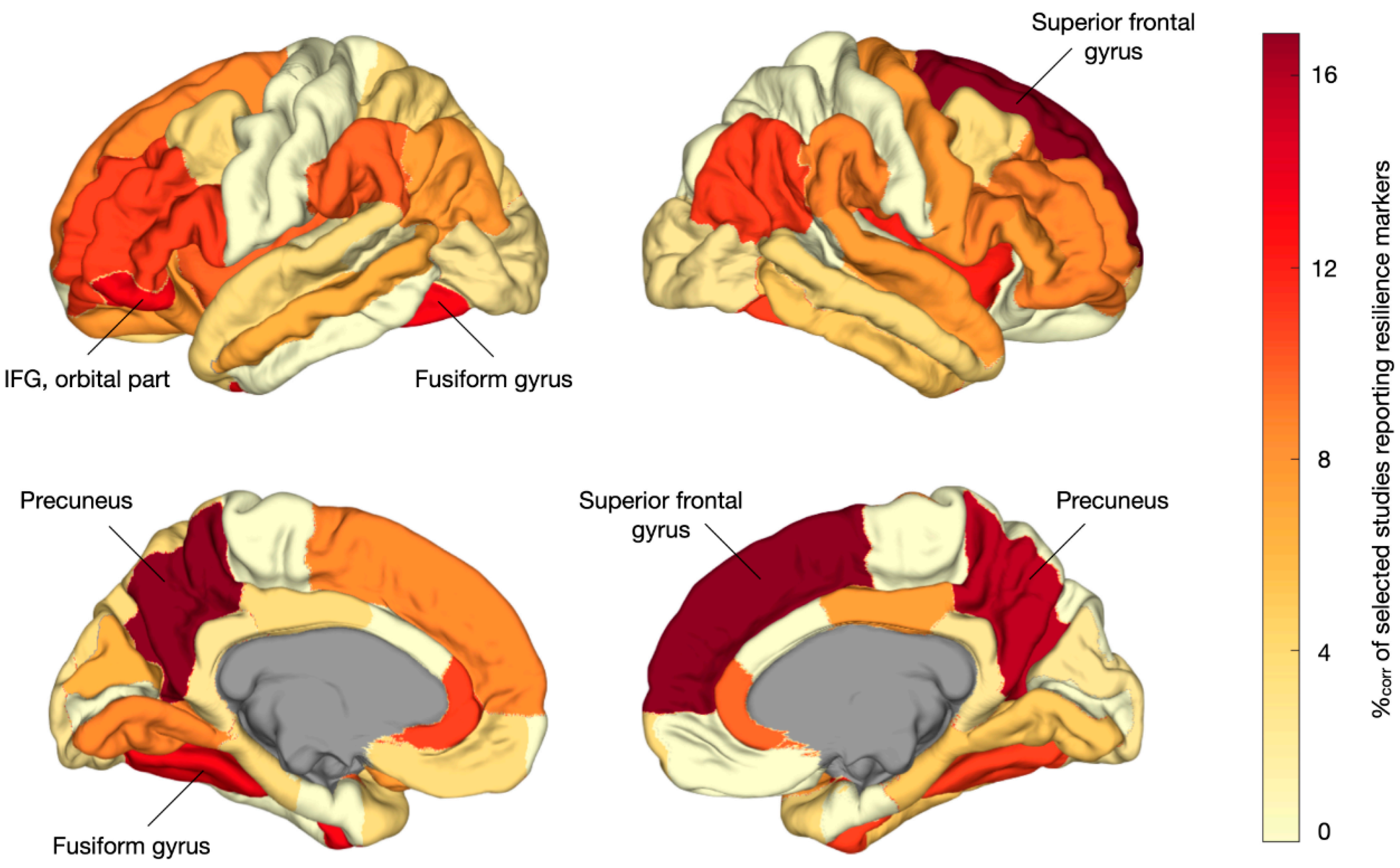 Brainsci 15 00314 g003