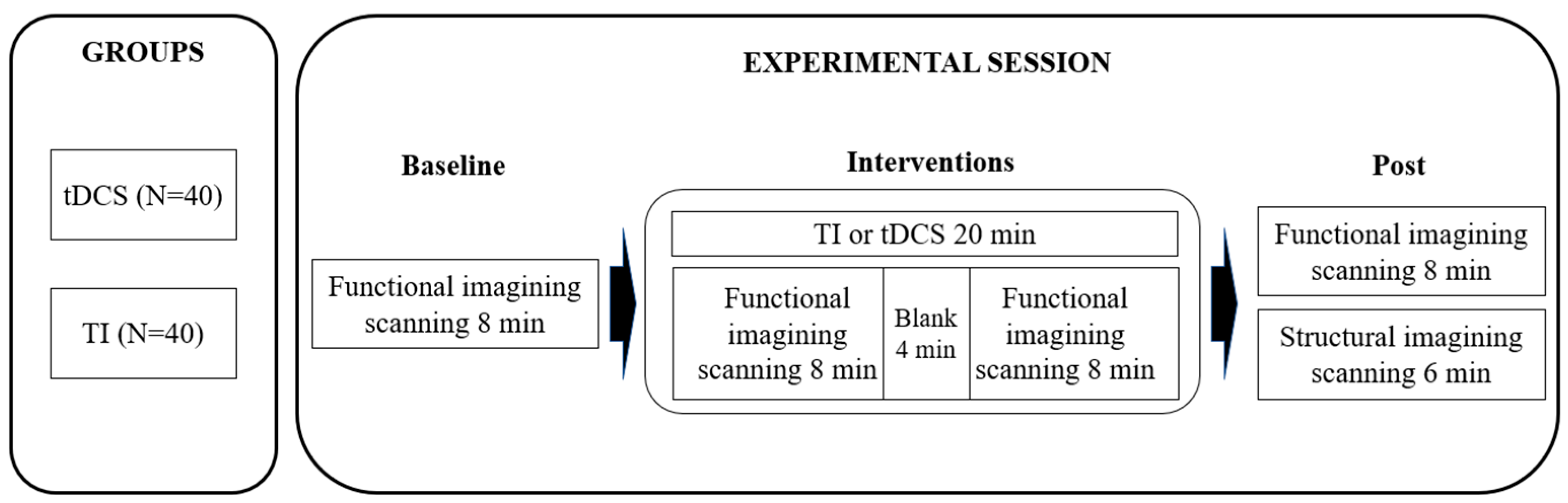 Brainsci 15 00317 g001