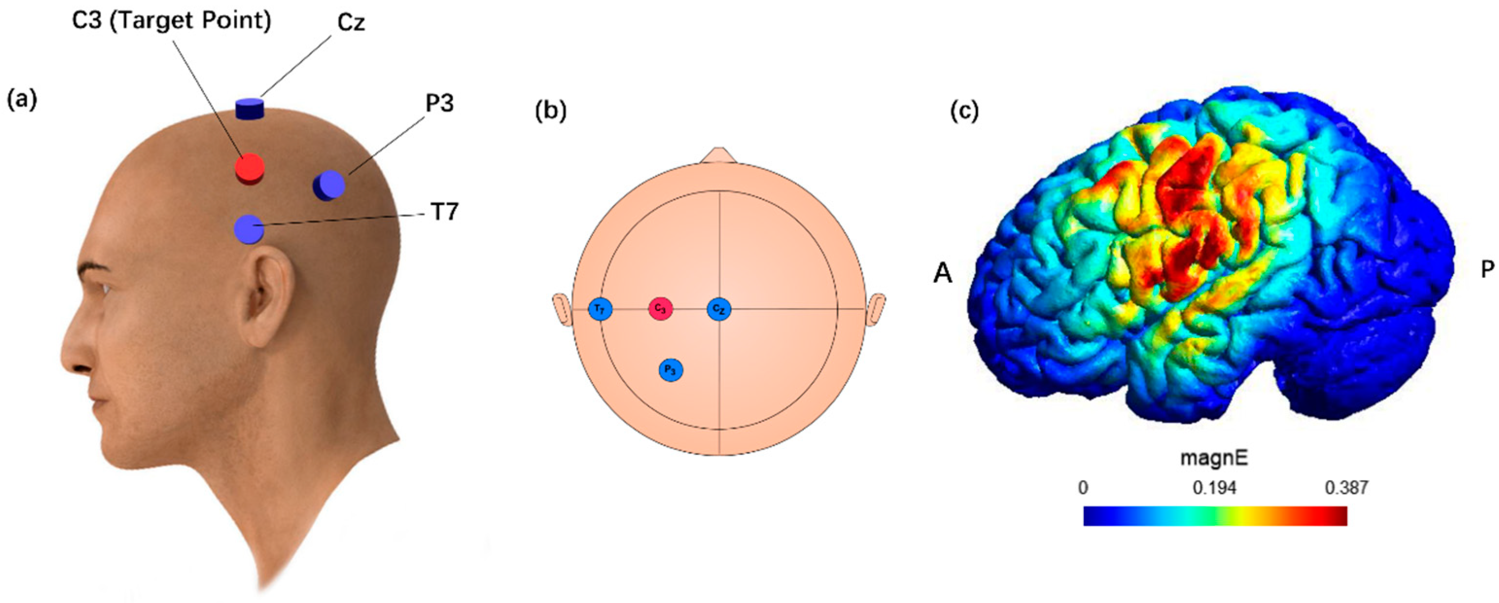 Brainsci 15 00317 g003