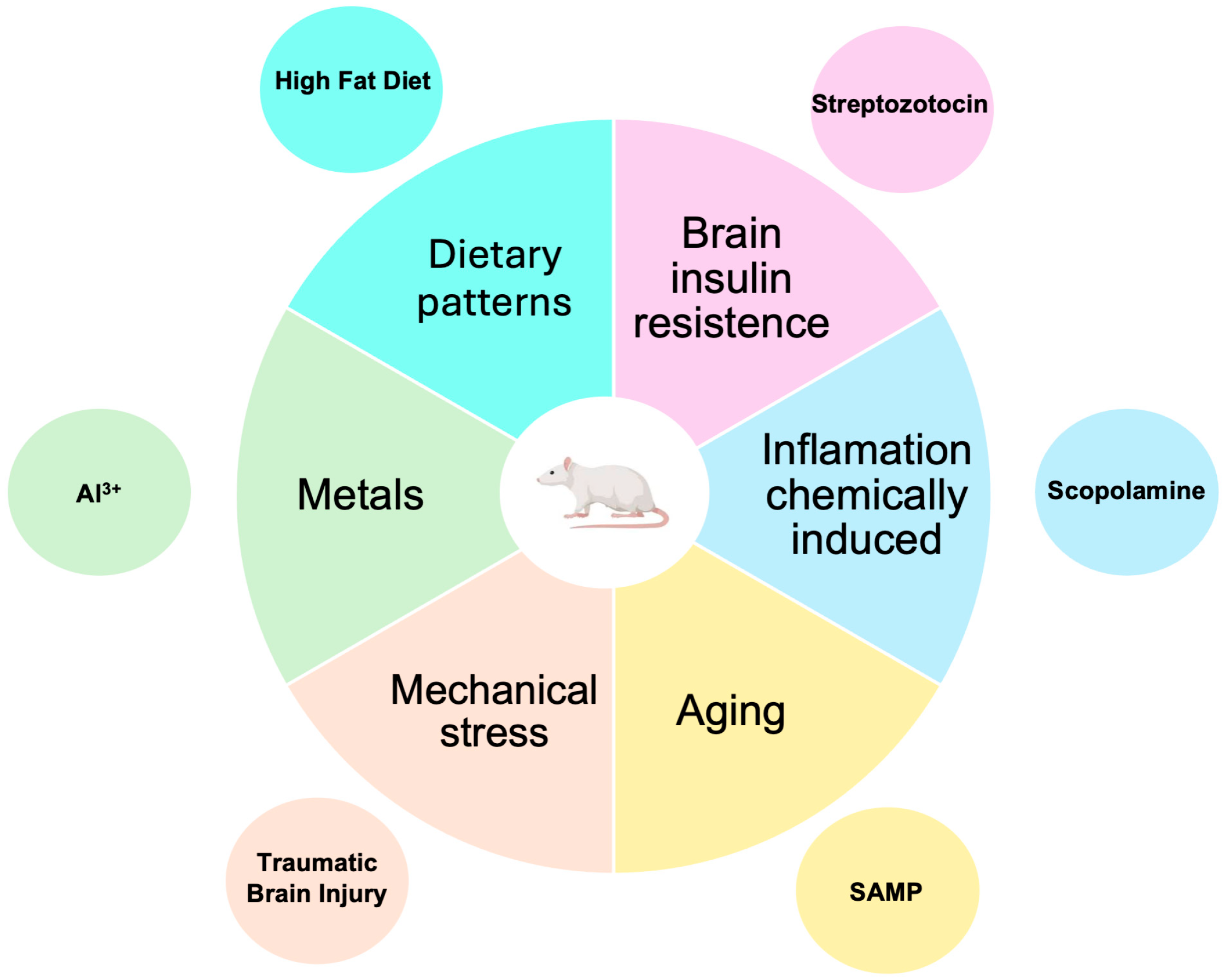 Brainsci 15 00322 g003