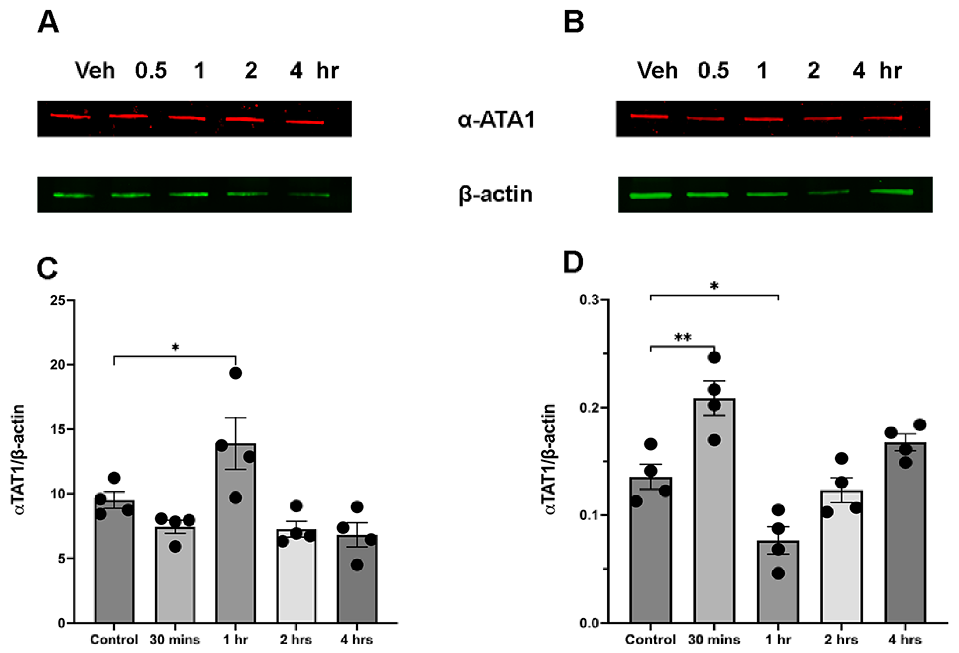 Brainsci 15 00326 g004