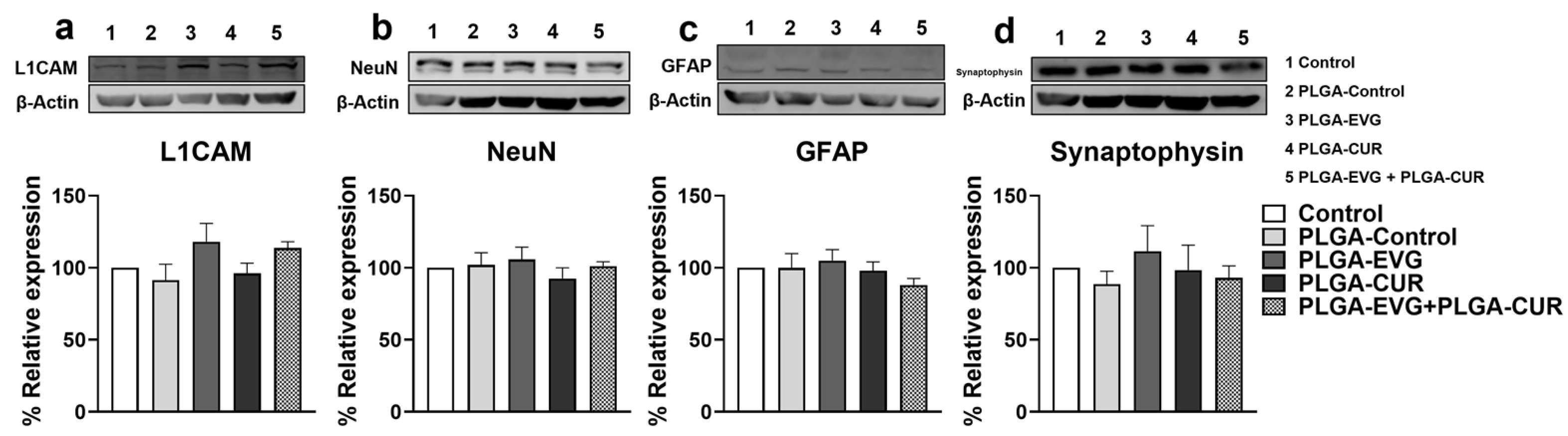 Brainsci 15 00328 g006
