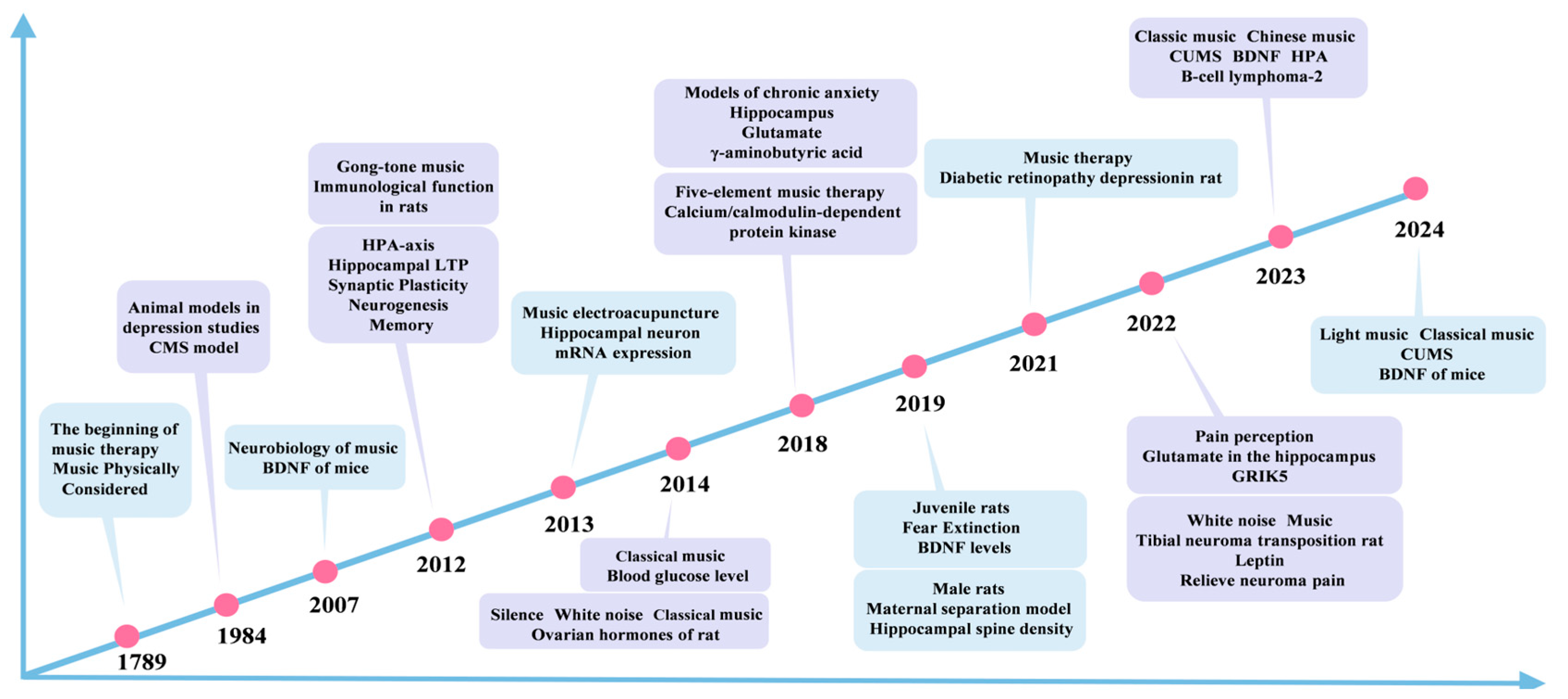Brainsci 15 00338 g002
