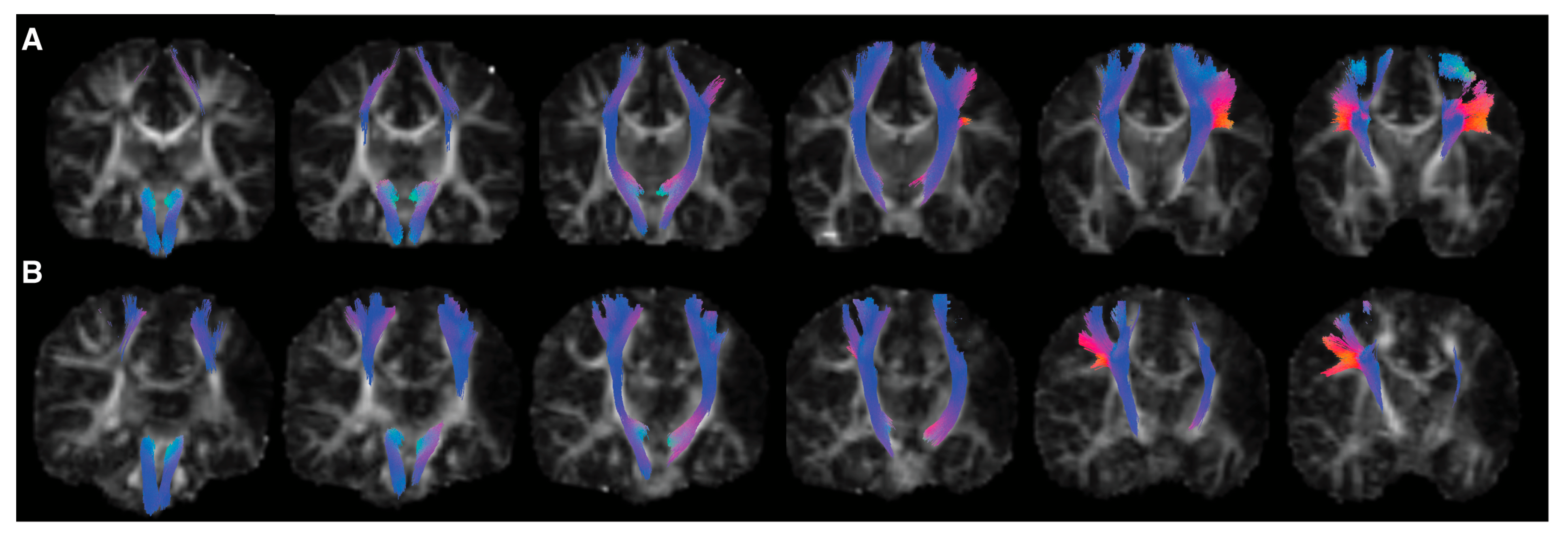 Brainsci 15 00341 g002