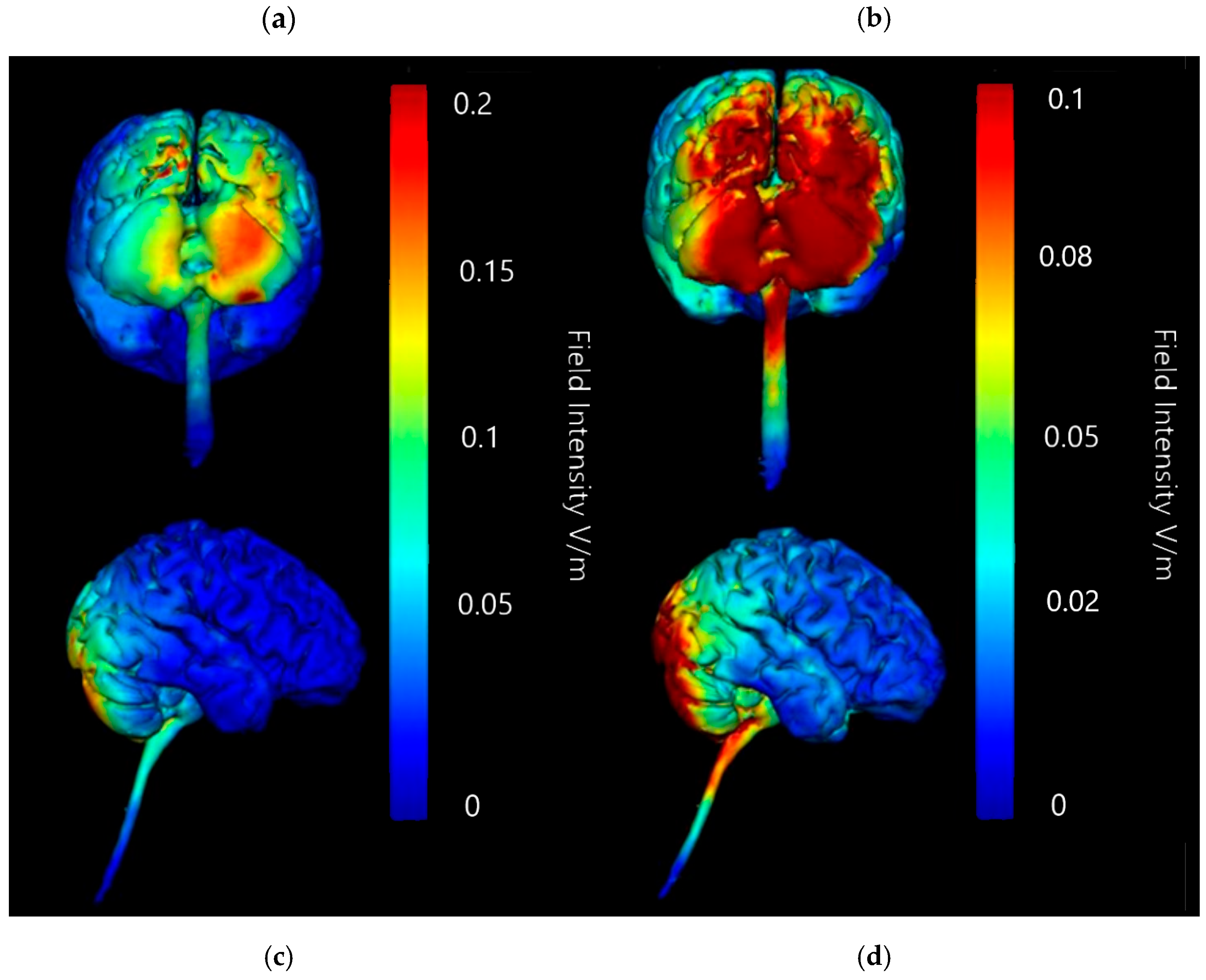 Brainsci 15 00344 g011